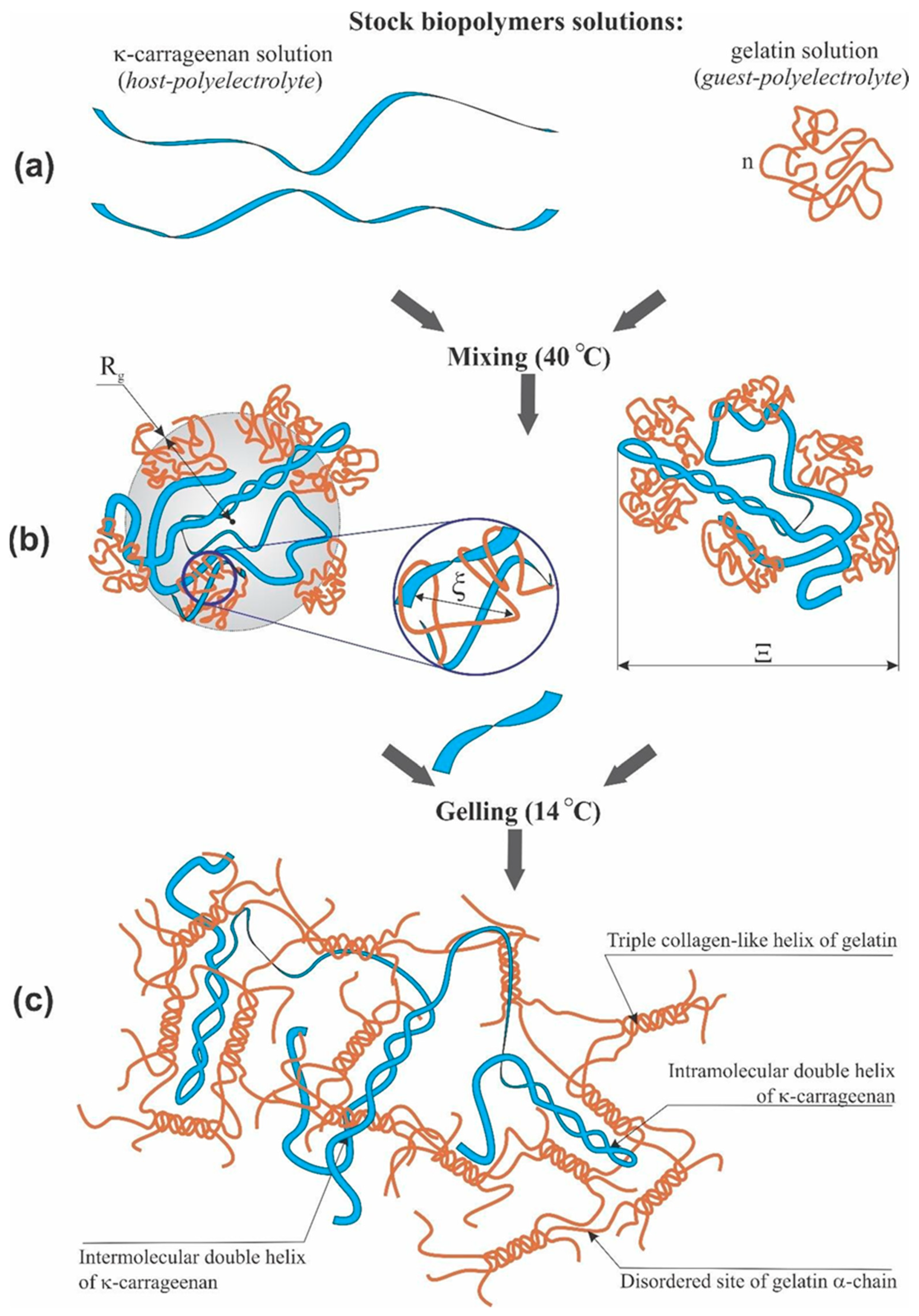 Polymers 14 02346 g009