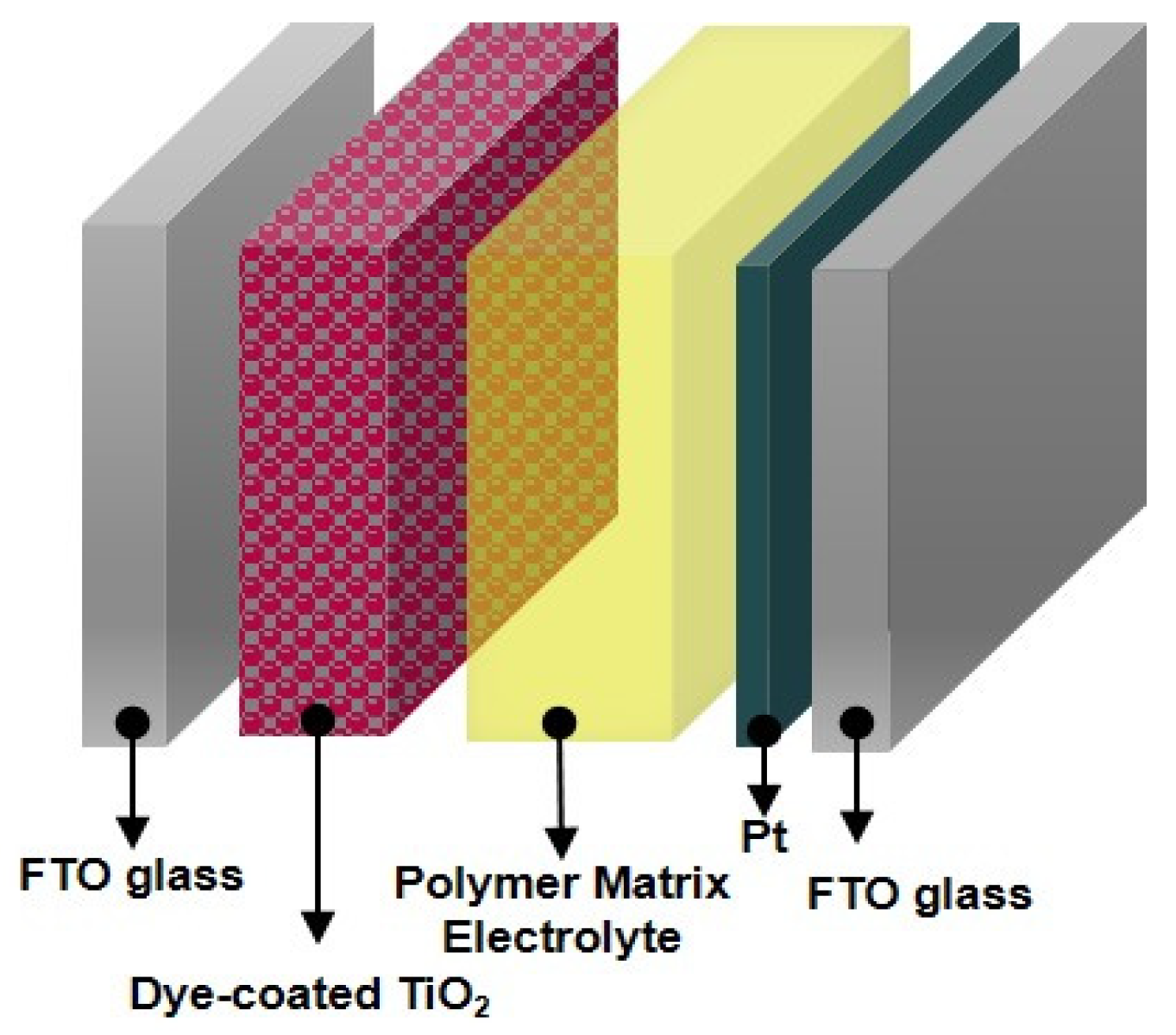 Polymers 14 02347 g002 550