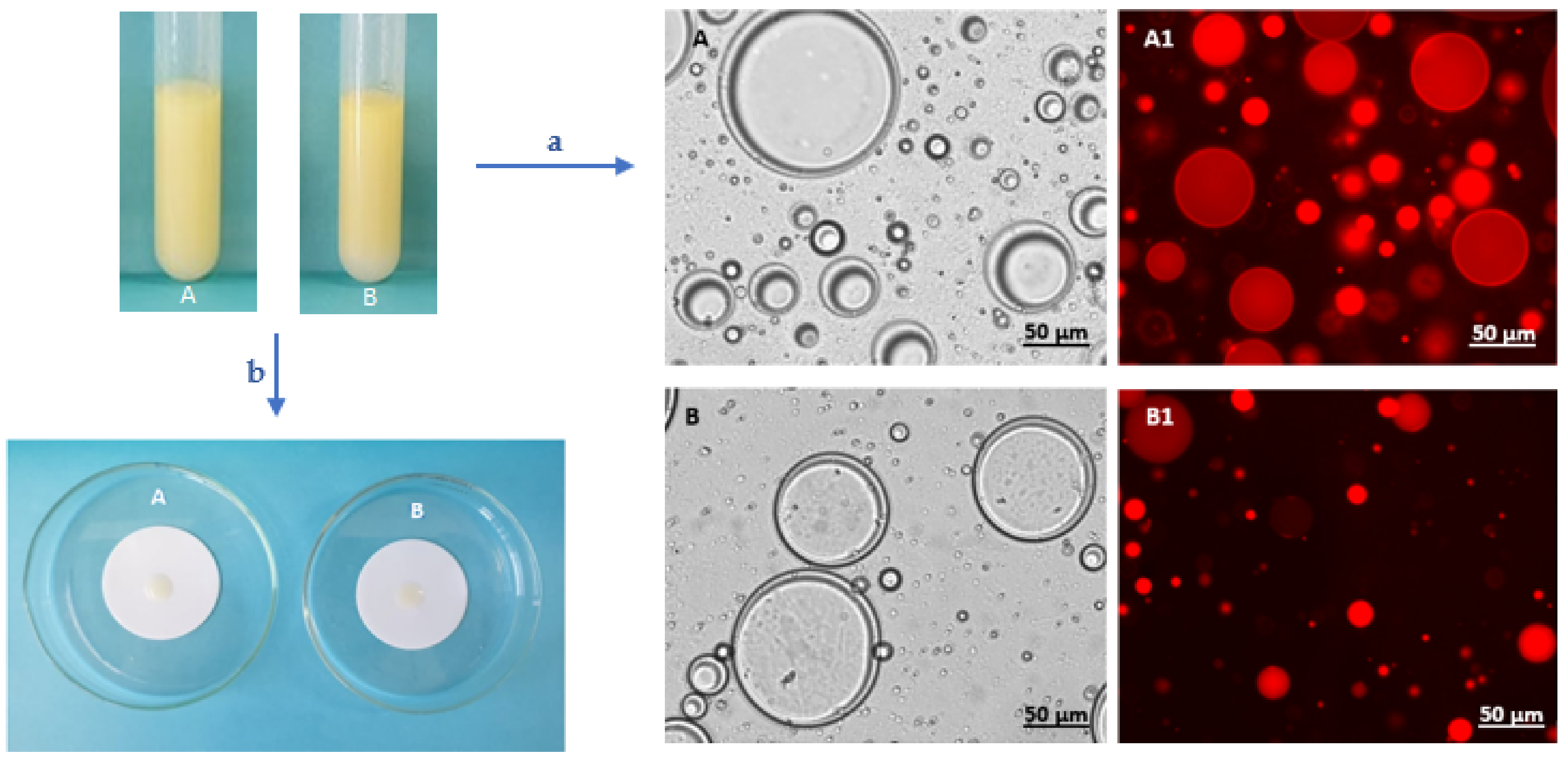 Polymers 14 02349 g006