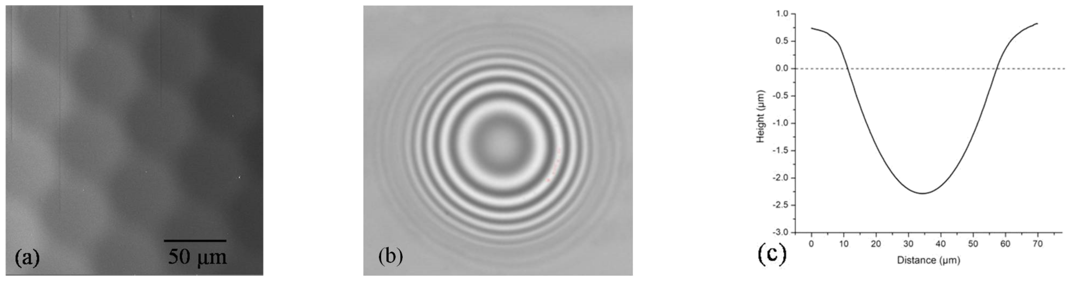 Polymers 14 02350 g002