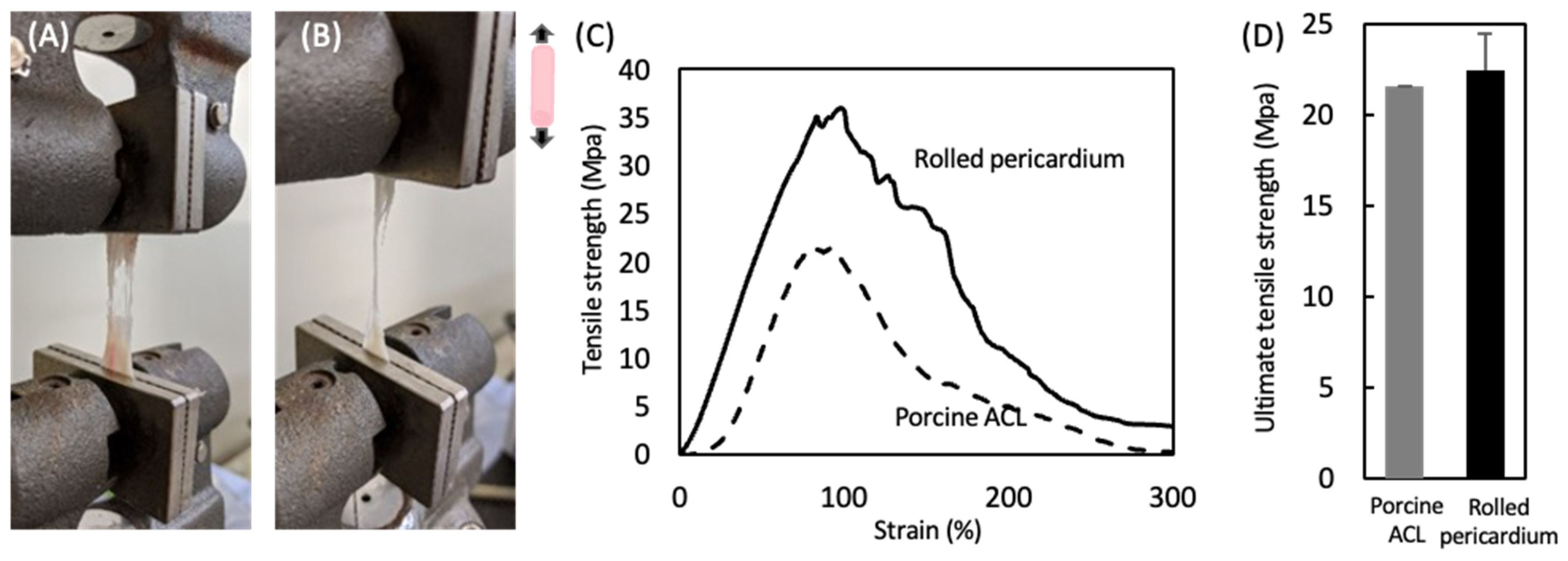 Polymers 14 02351 g005