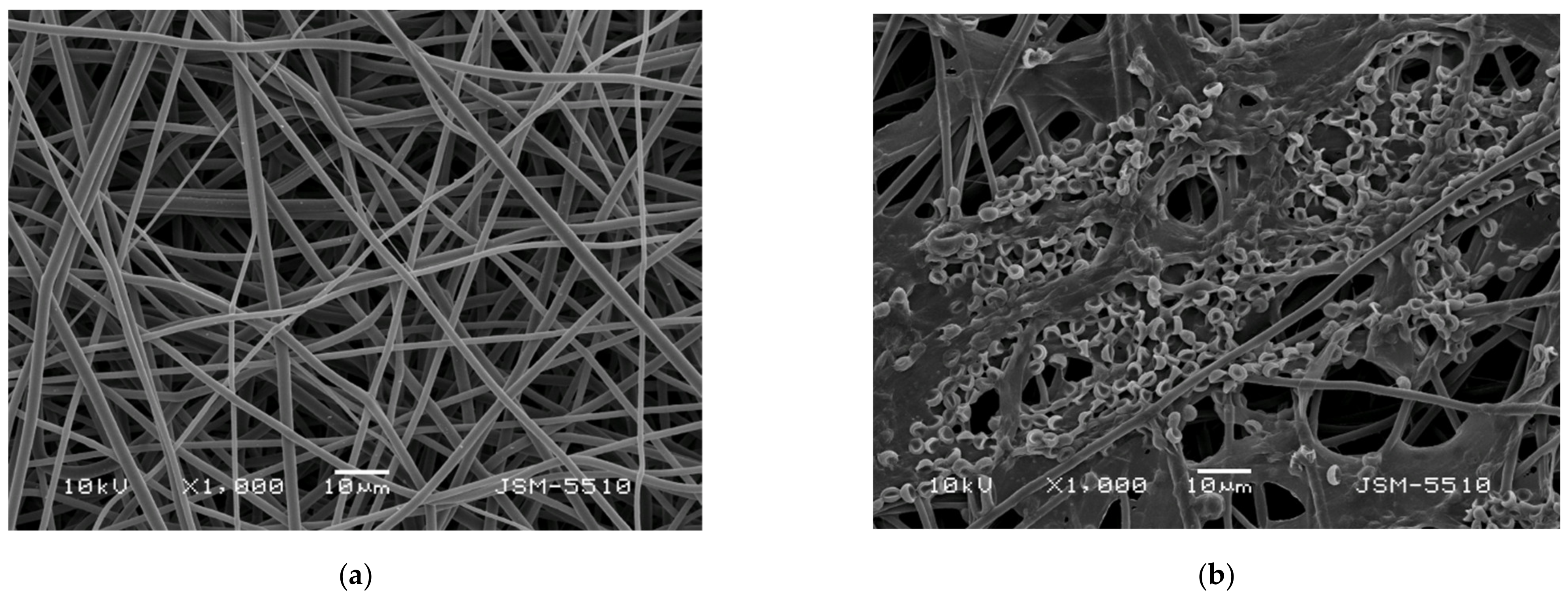 Polymers 14 02356 g001a 550