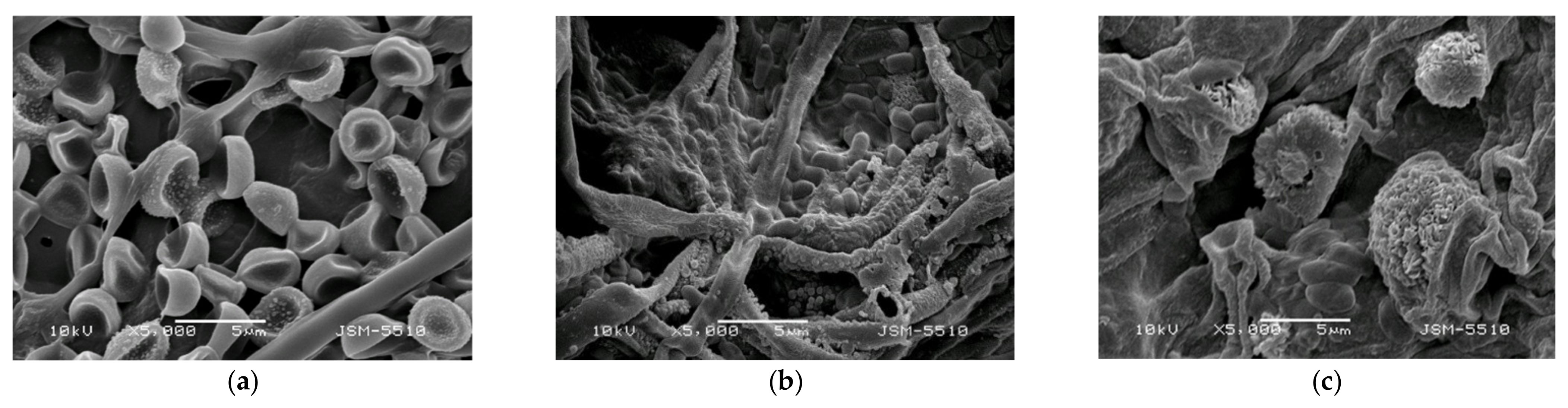 Polymers 14 02356 g005 550