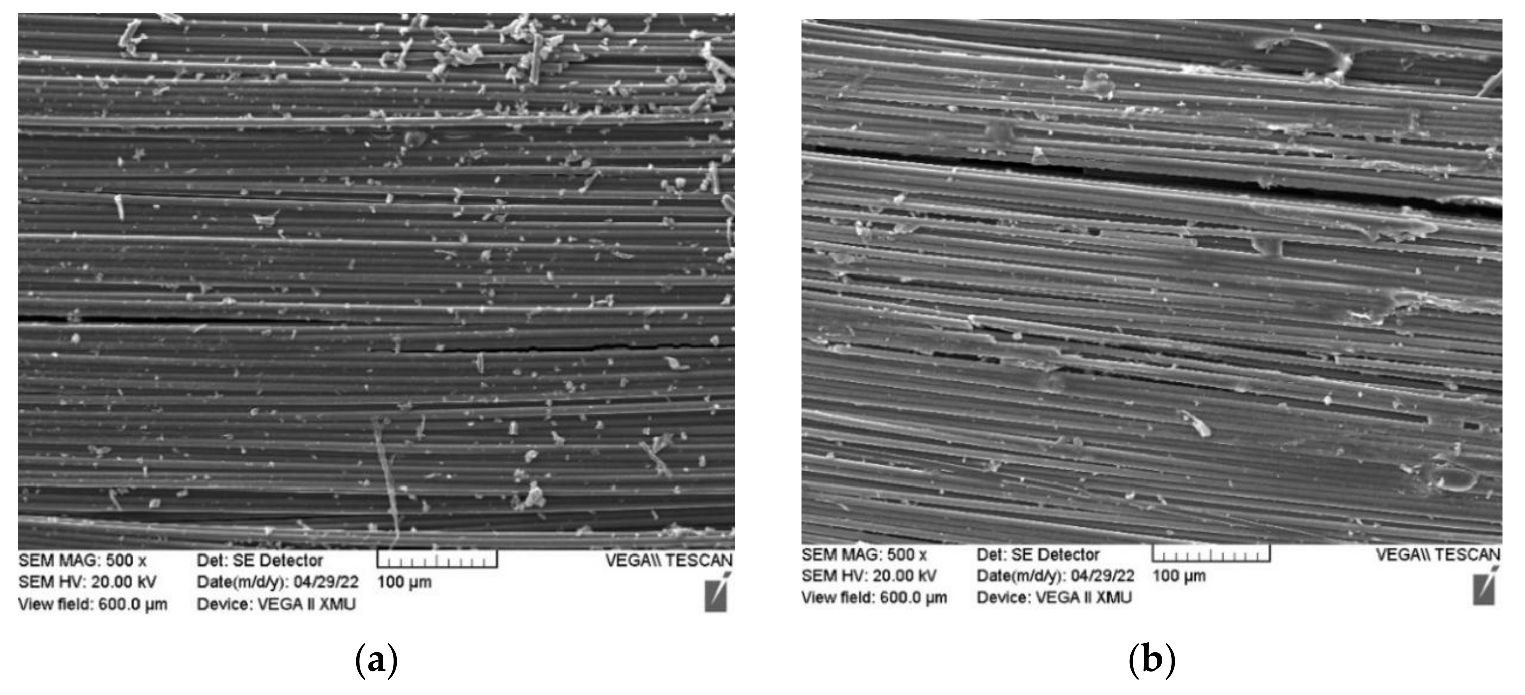 Polymers 14 02358 g008a 550