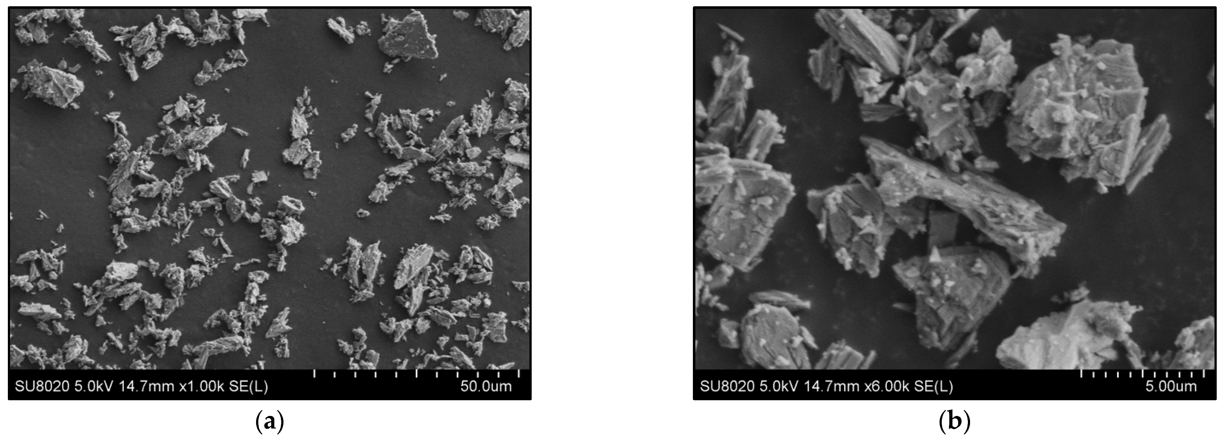 Polymers 14 02360 g001 550