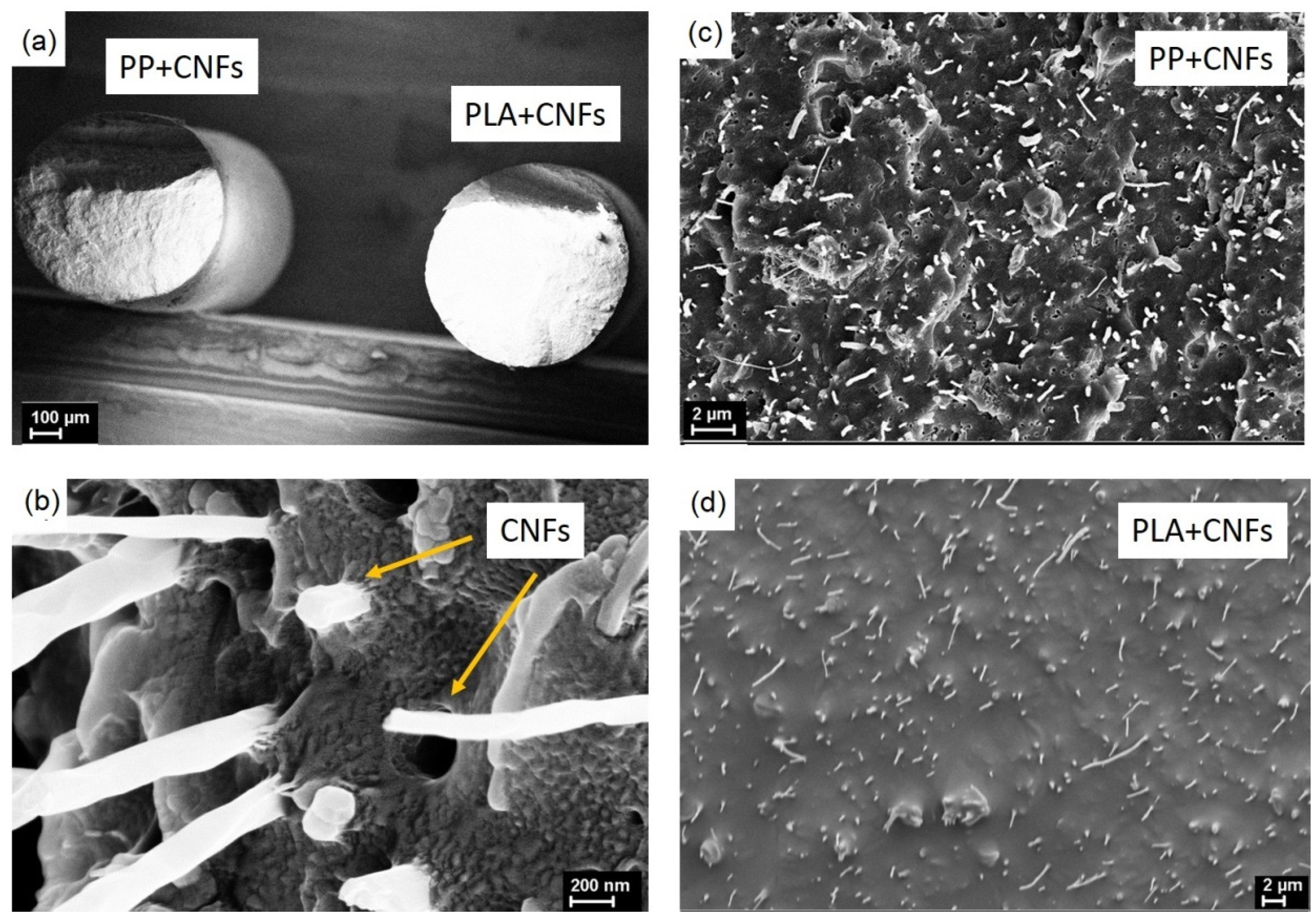 Polymers 14 02362 g001 550