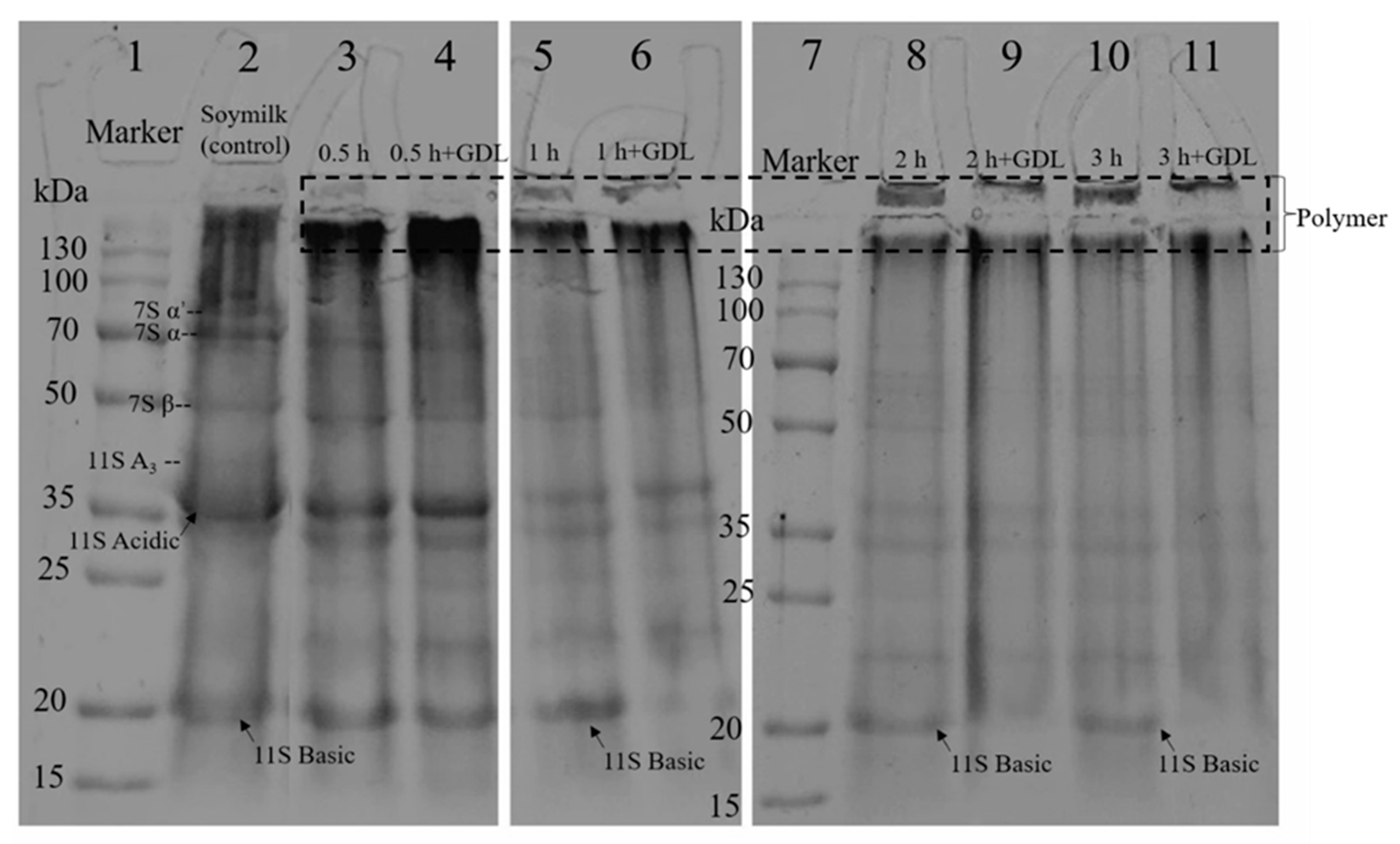 Polymers 14 02364 g001