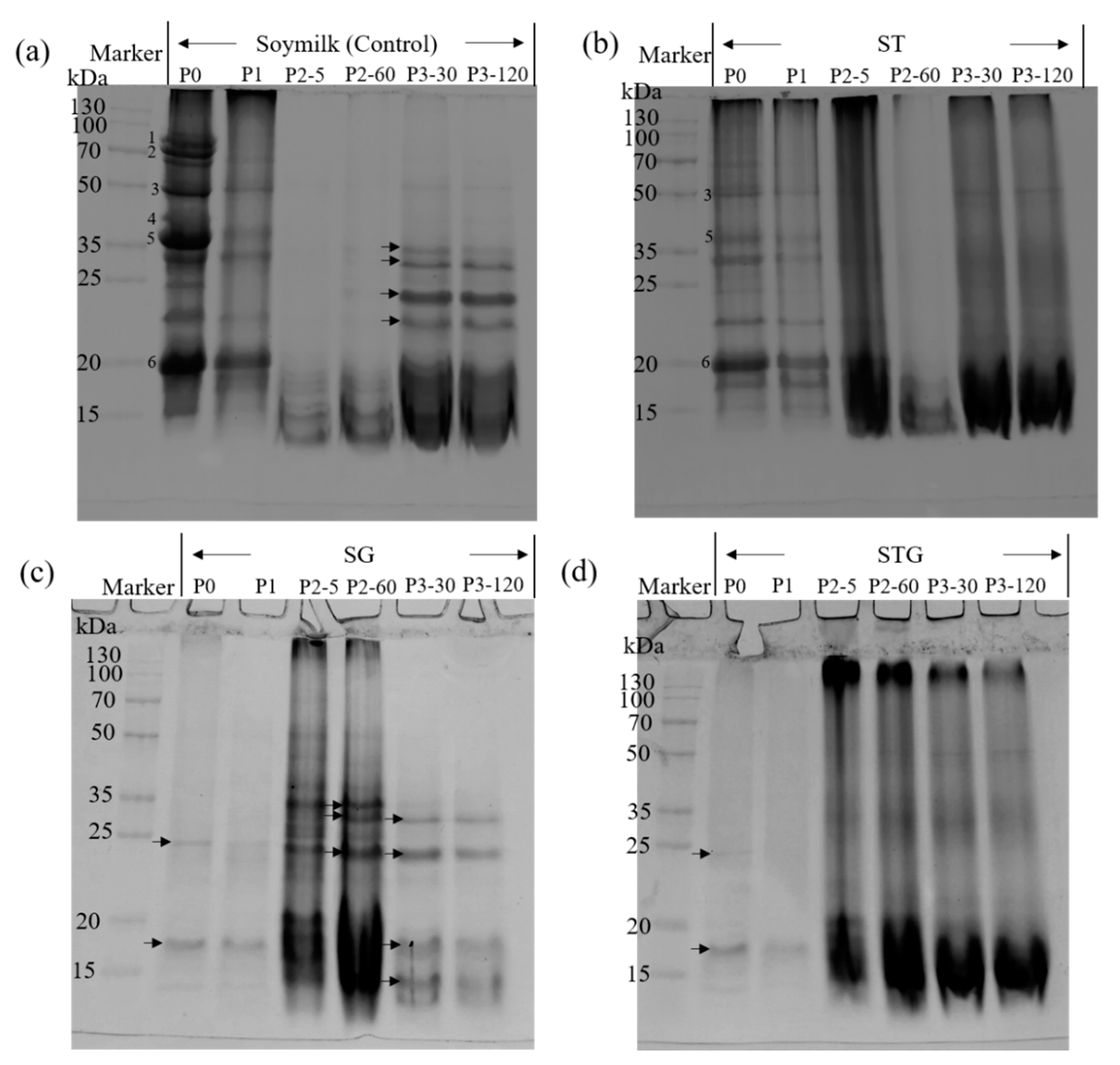 Polymers 14 02364 g006