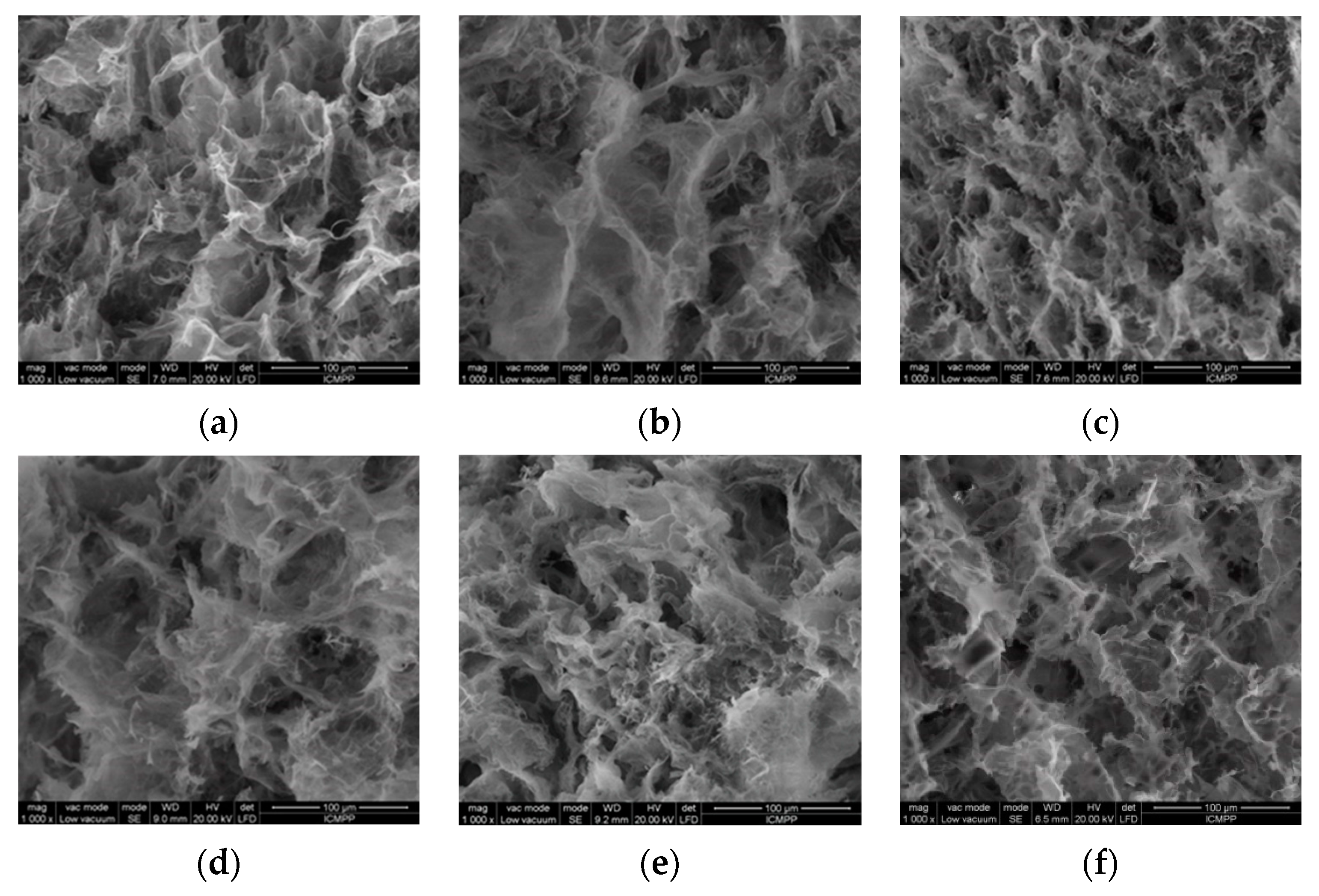 Polymers 14 02365 g001