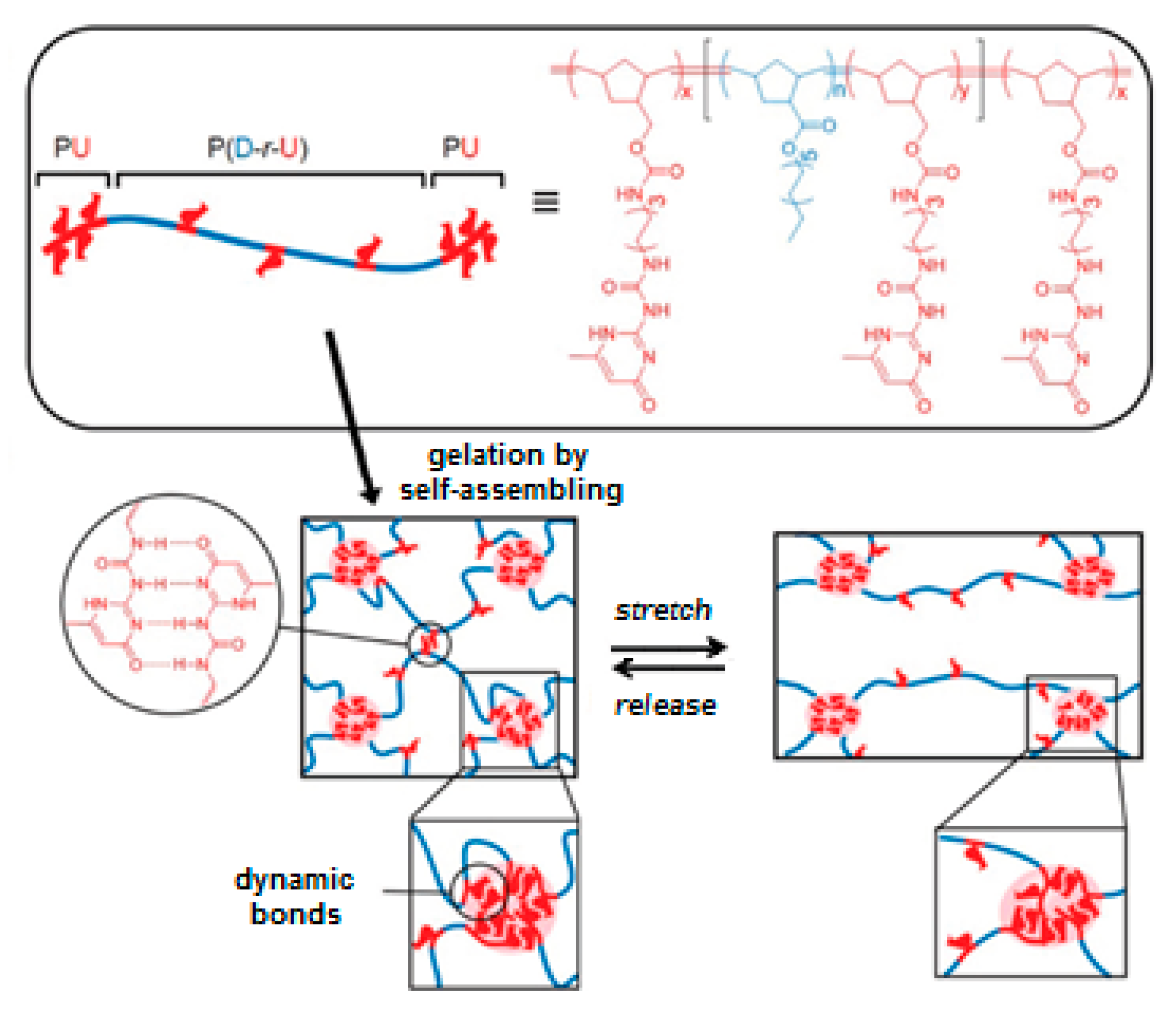 Polymers 14 02365 g006
