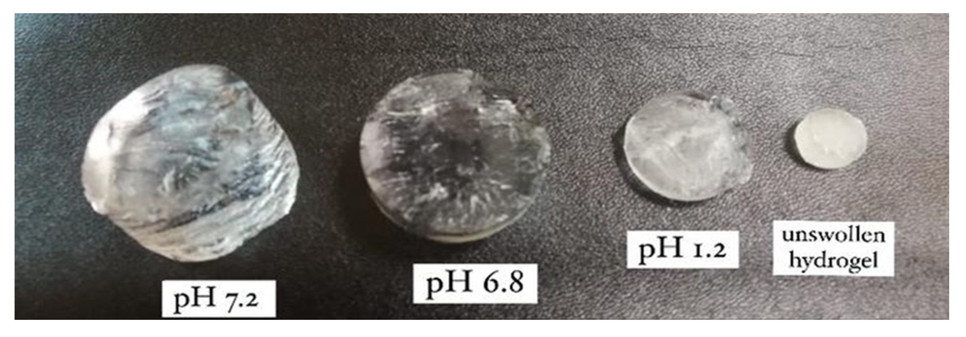 Polymers 14 02369 g002