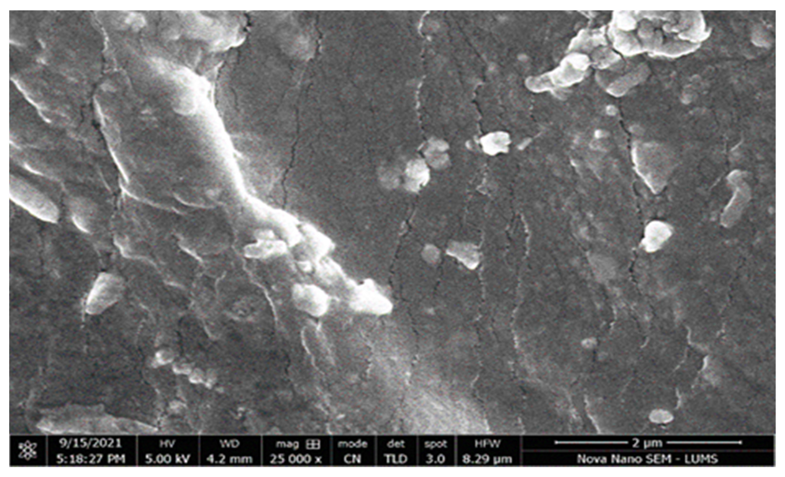 Polymers 14 02369 g011