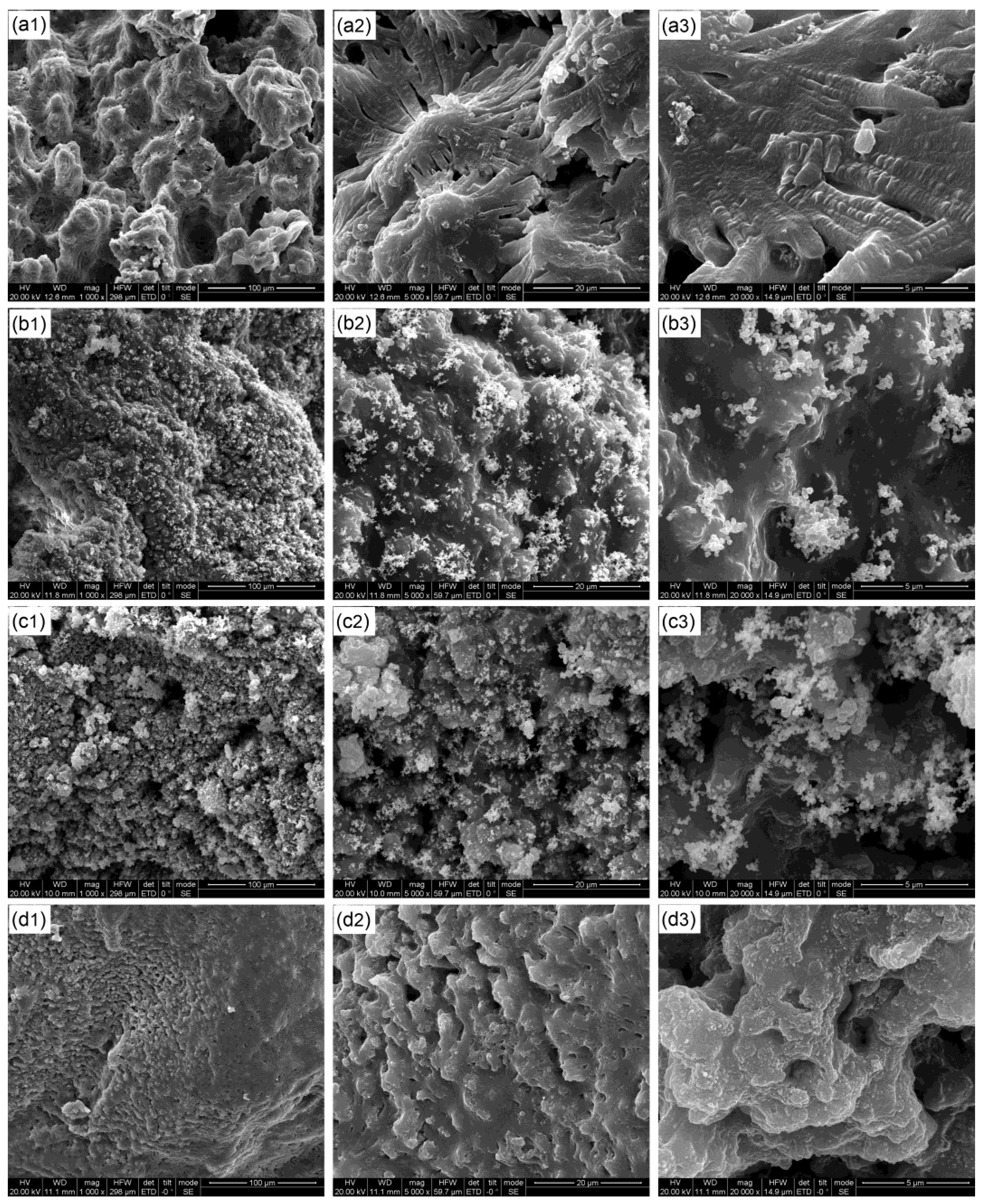 Polymers 14 02372 g004