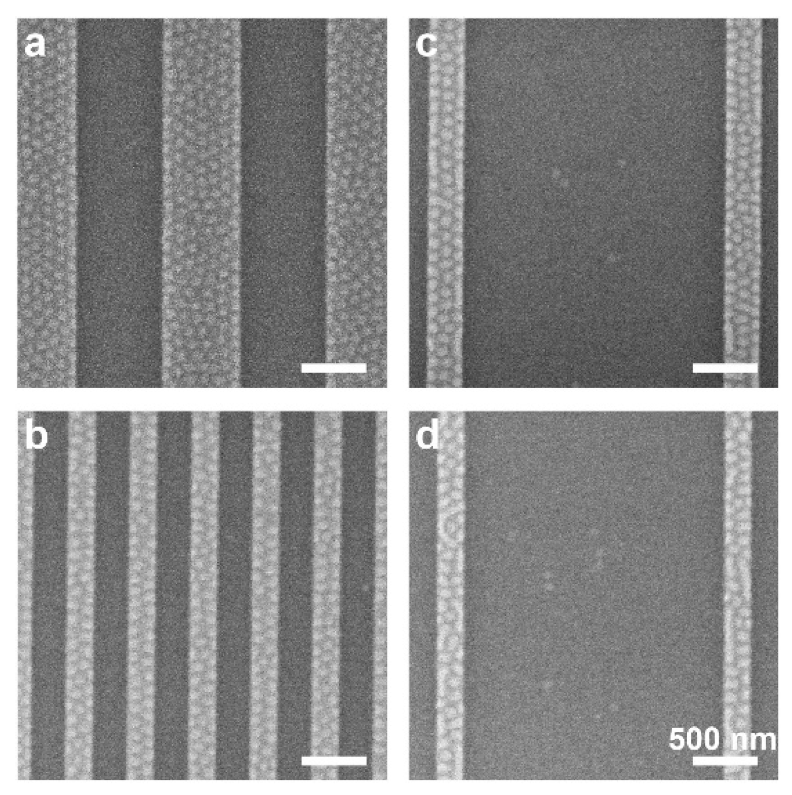 Polymers 14 02377 g003