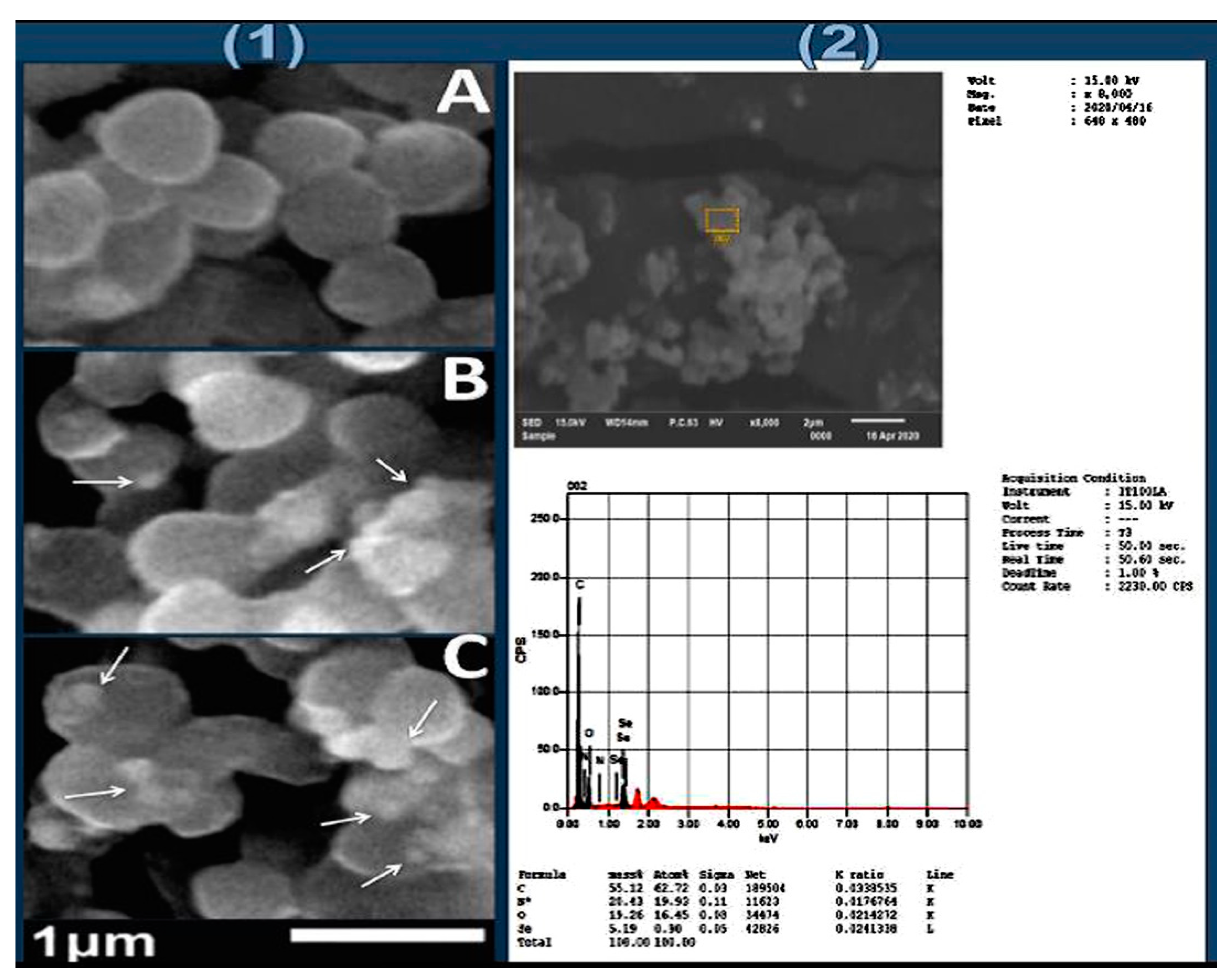 Polymers 14 02378 g005 550