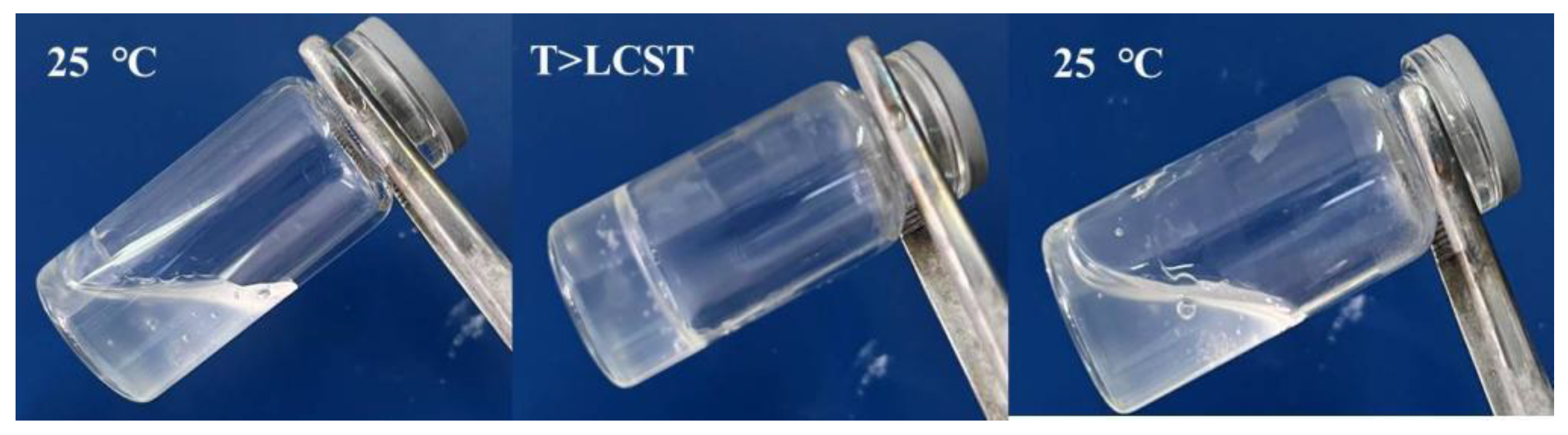 Polymers 14 02379 g001