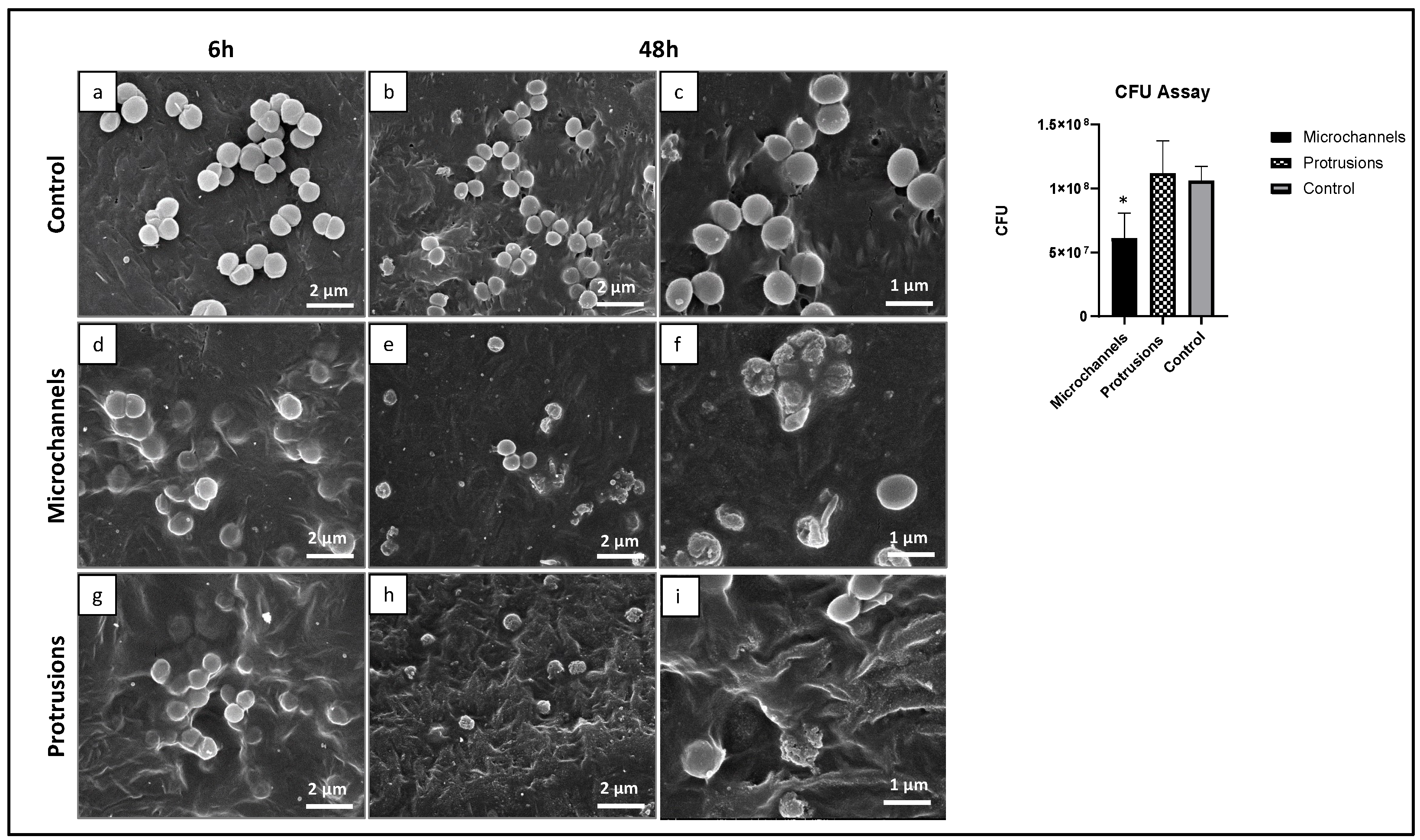 Polymers 14 02382 g010 550
