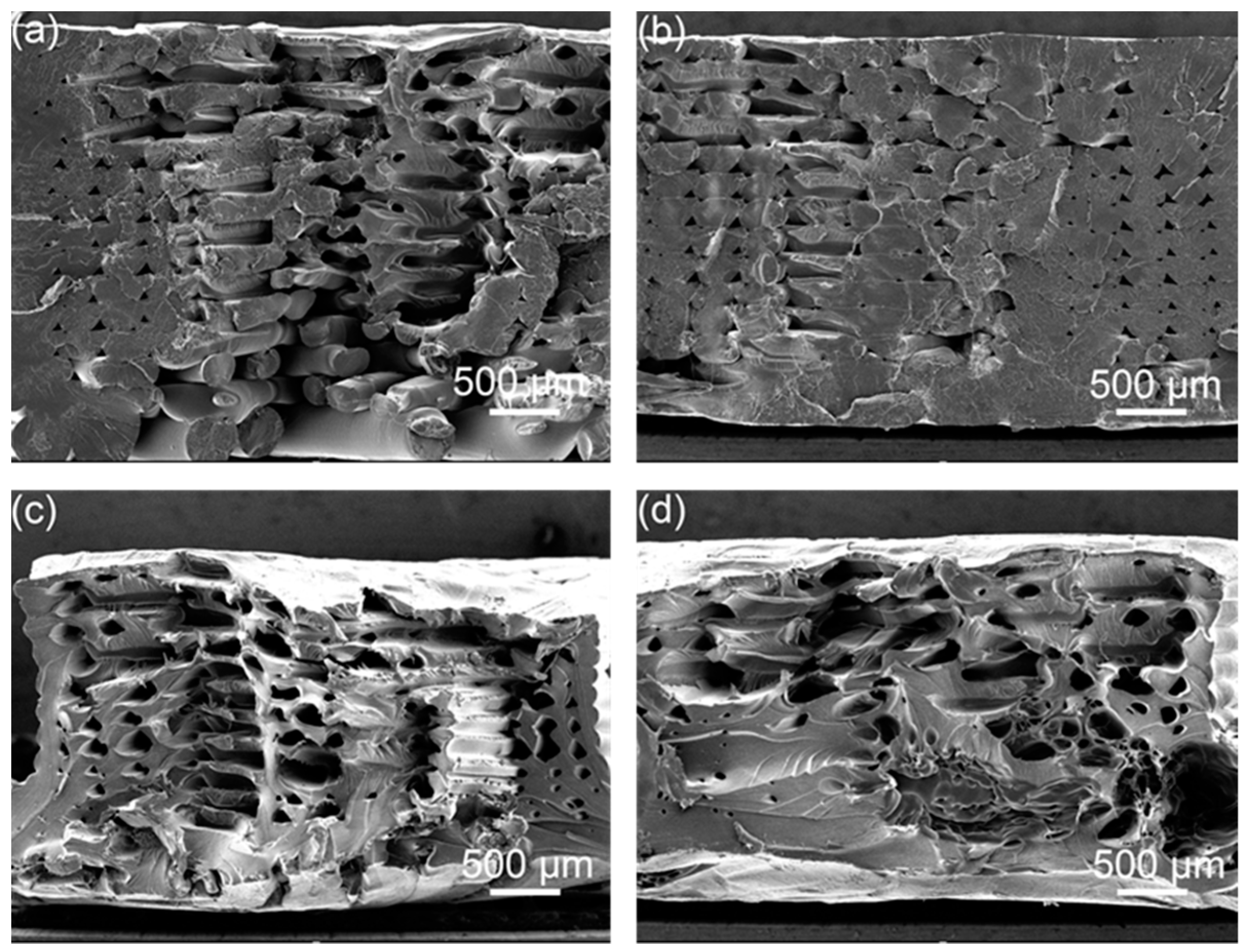 Polymers 14 02385 g014 550