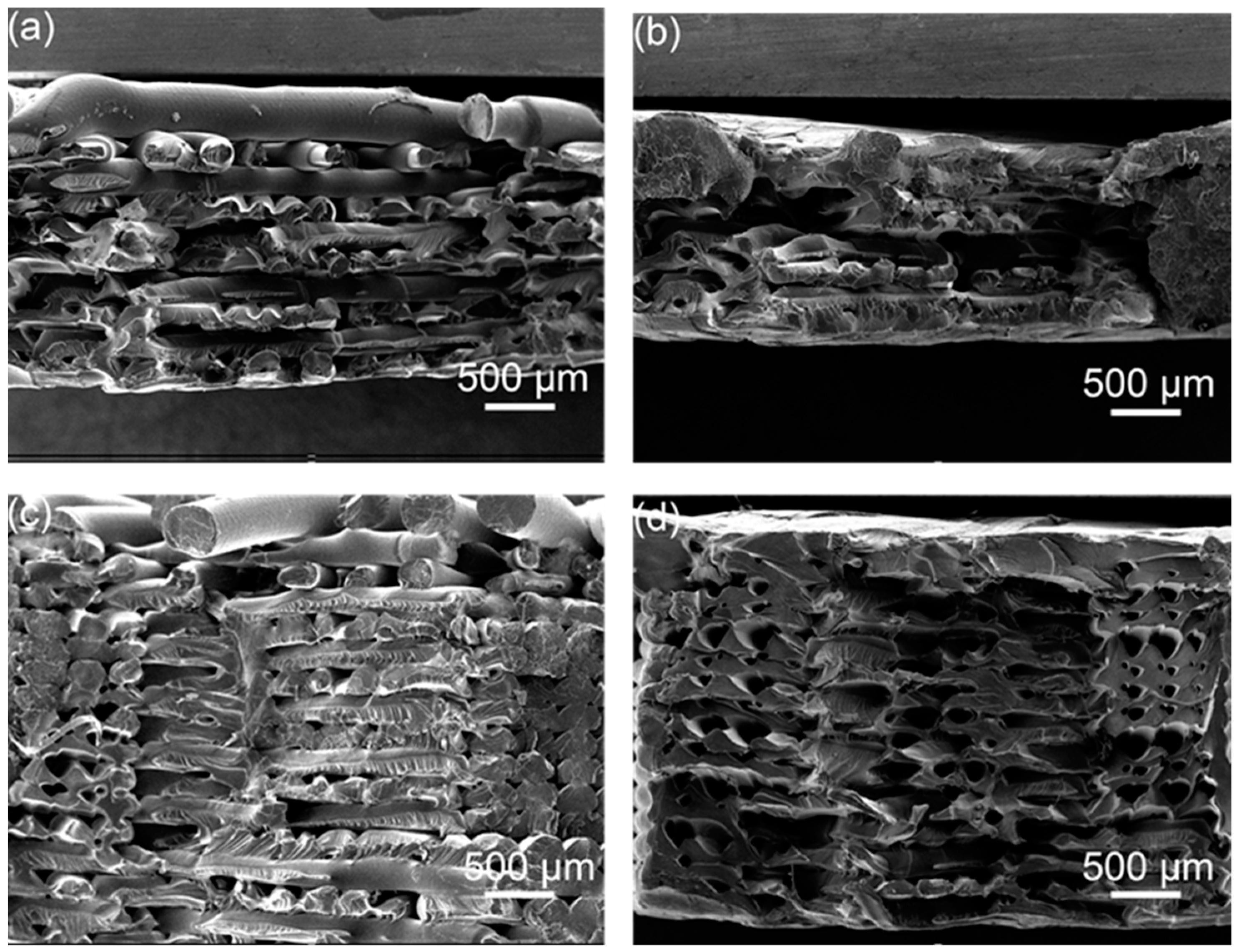 Polymers 14 02385 g017 550