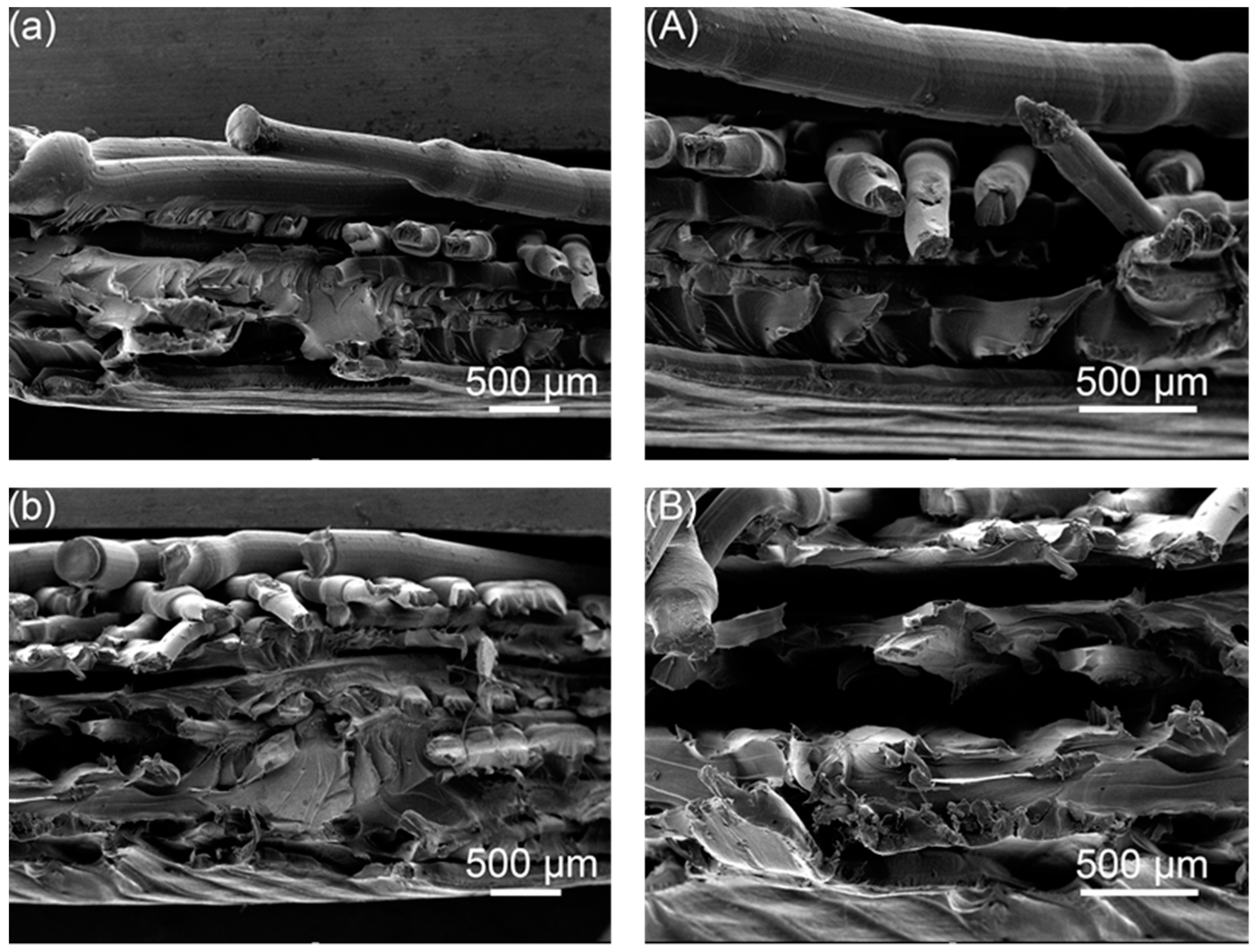 Polymers 14 02385 g020 550