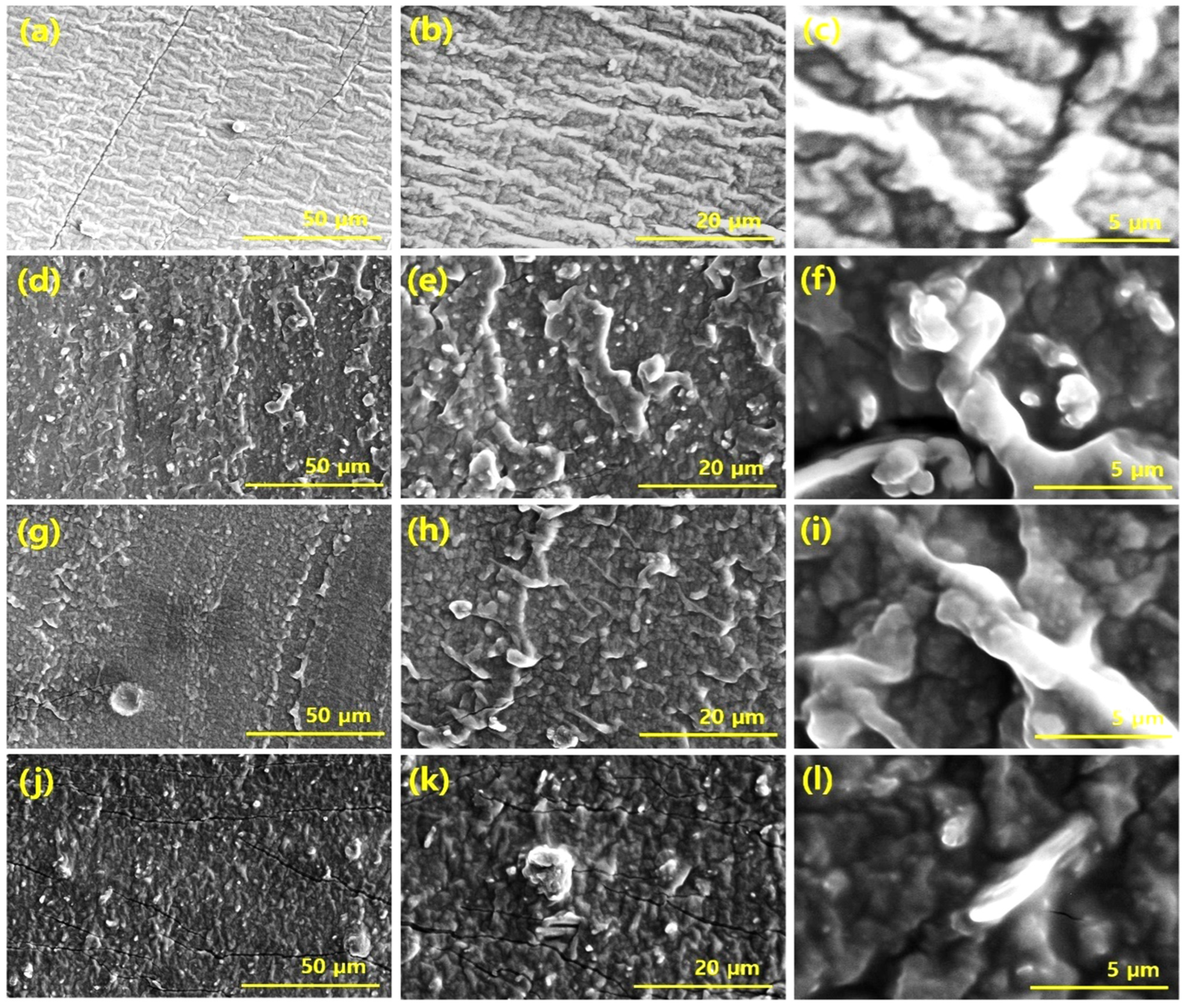 Polymers 14 02393 g003