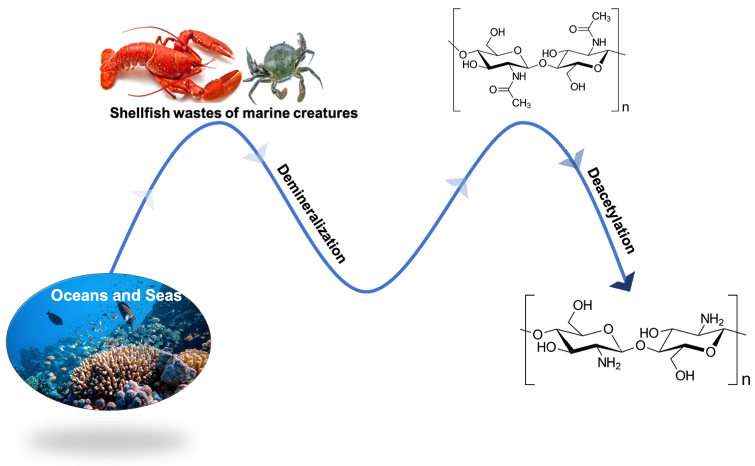 Polymers 14 02395 g002