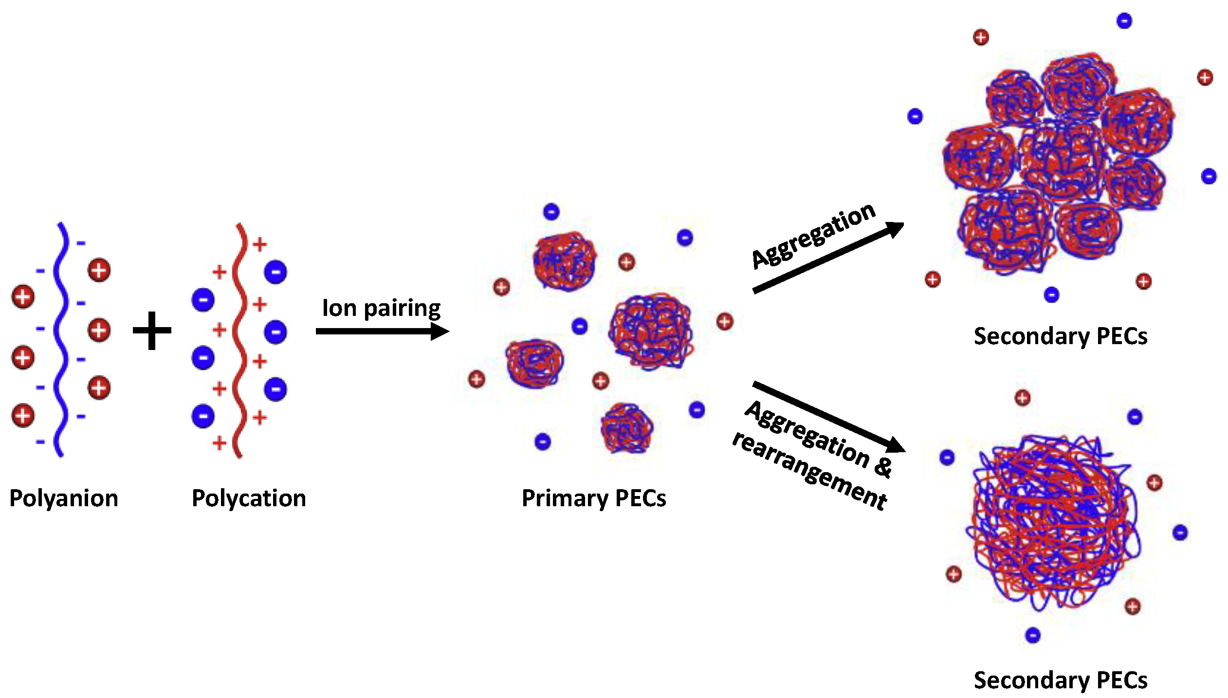 Polymers 14 02404 g001 550