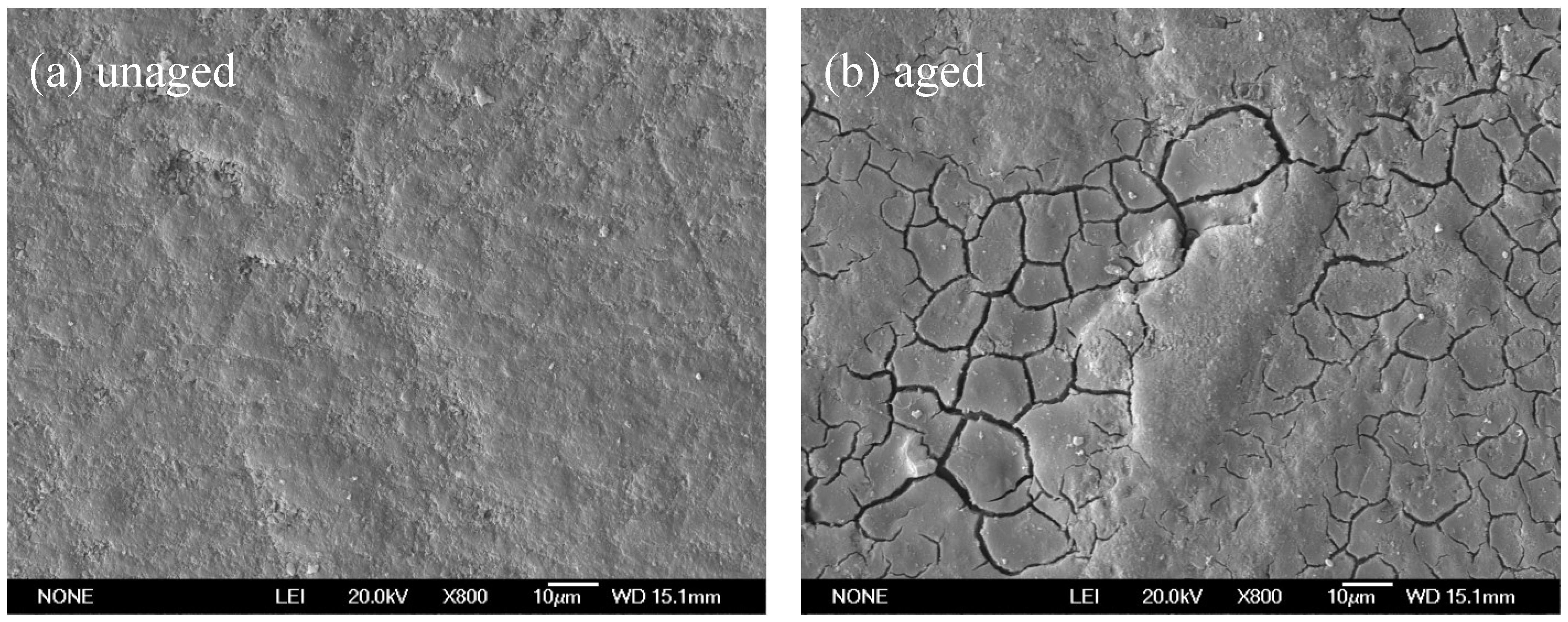 Polymers 14 02405 g005
