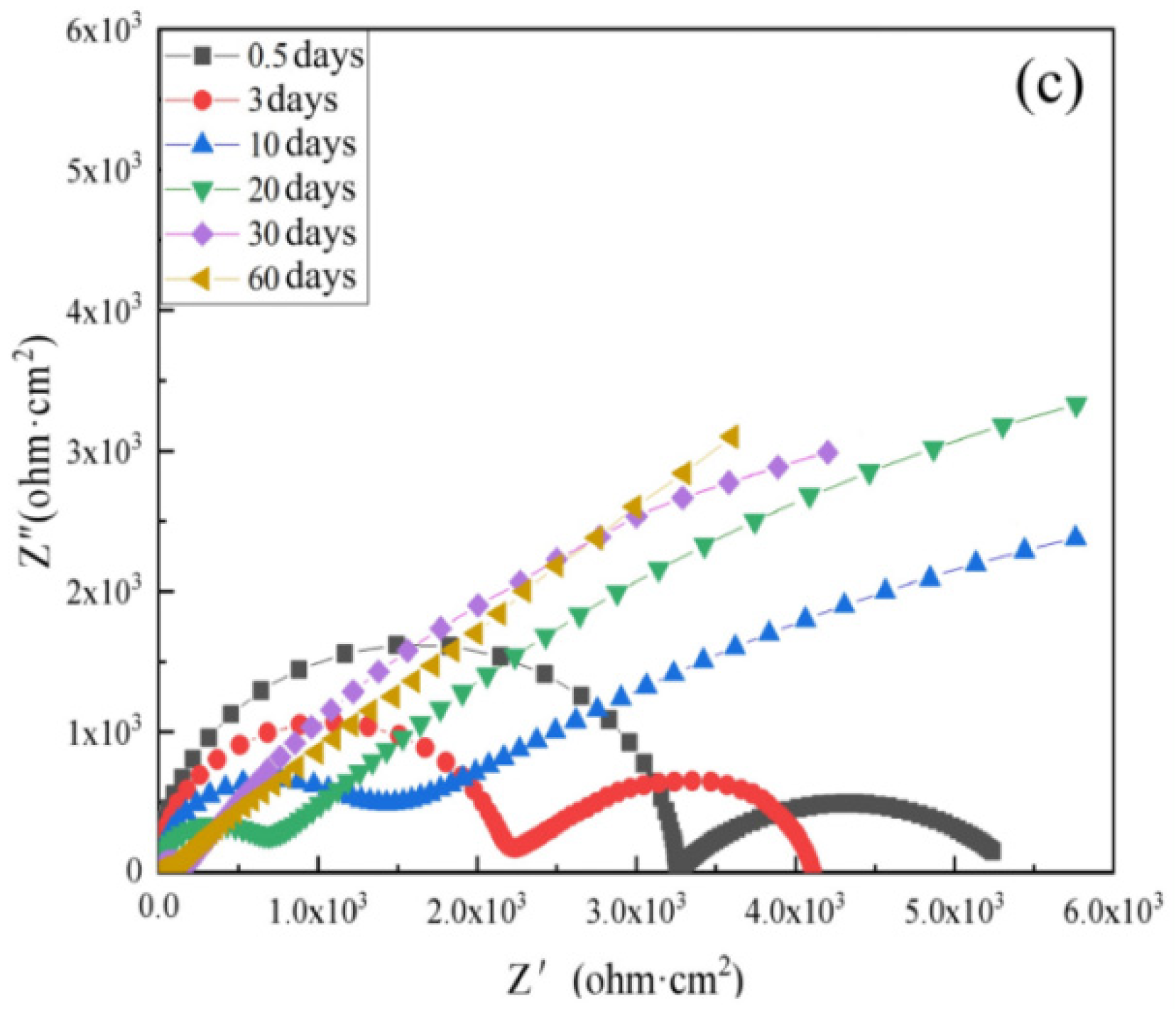 Polymers 14 02405 g009b