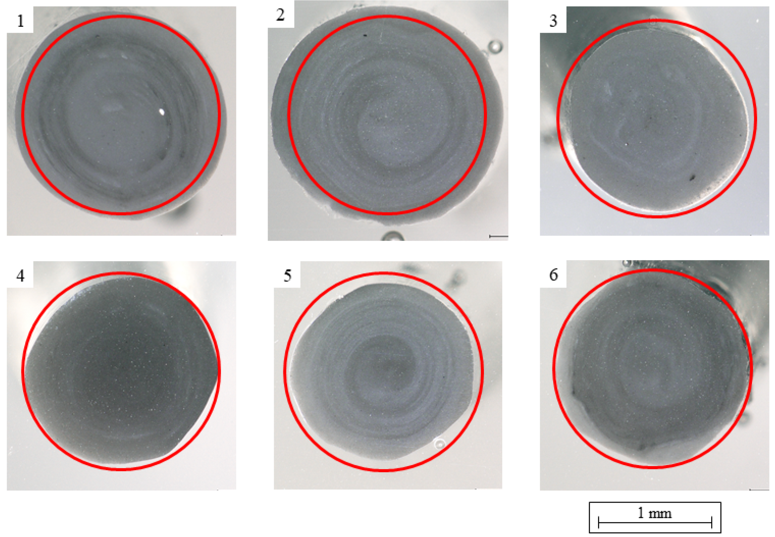 Polymers 14 02407 g008 550