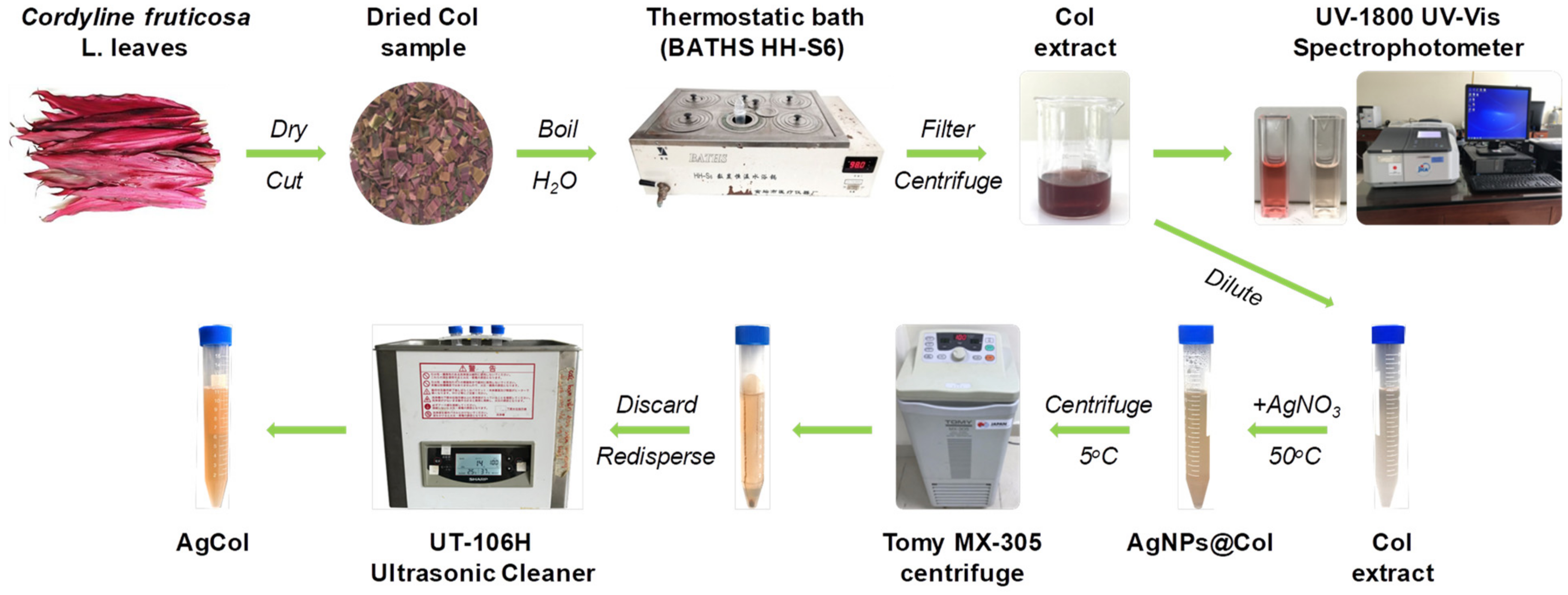 Polymers 14 02409 g001
