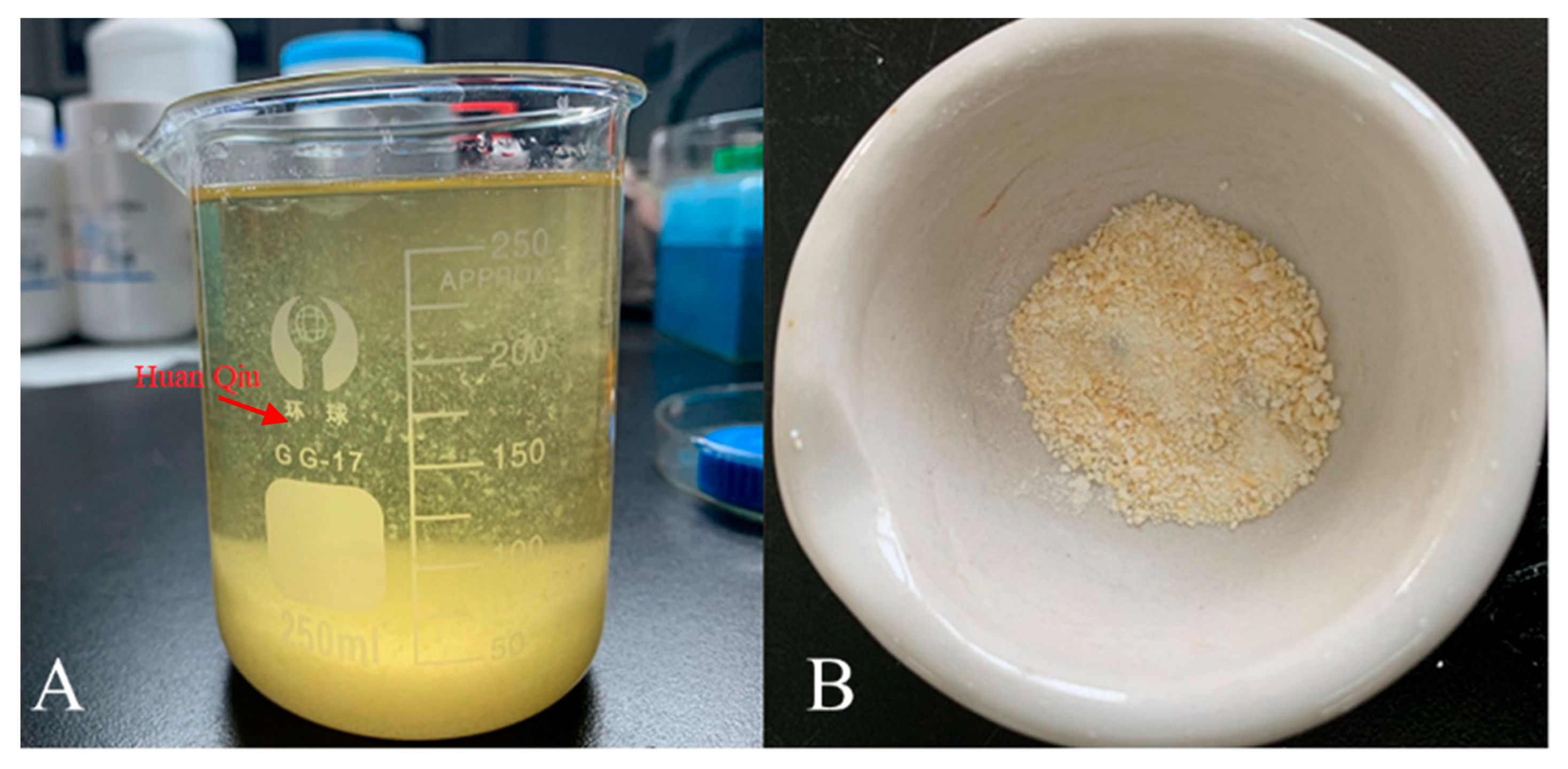 Polymers 14 02410 g001 550