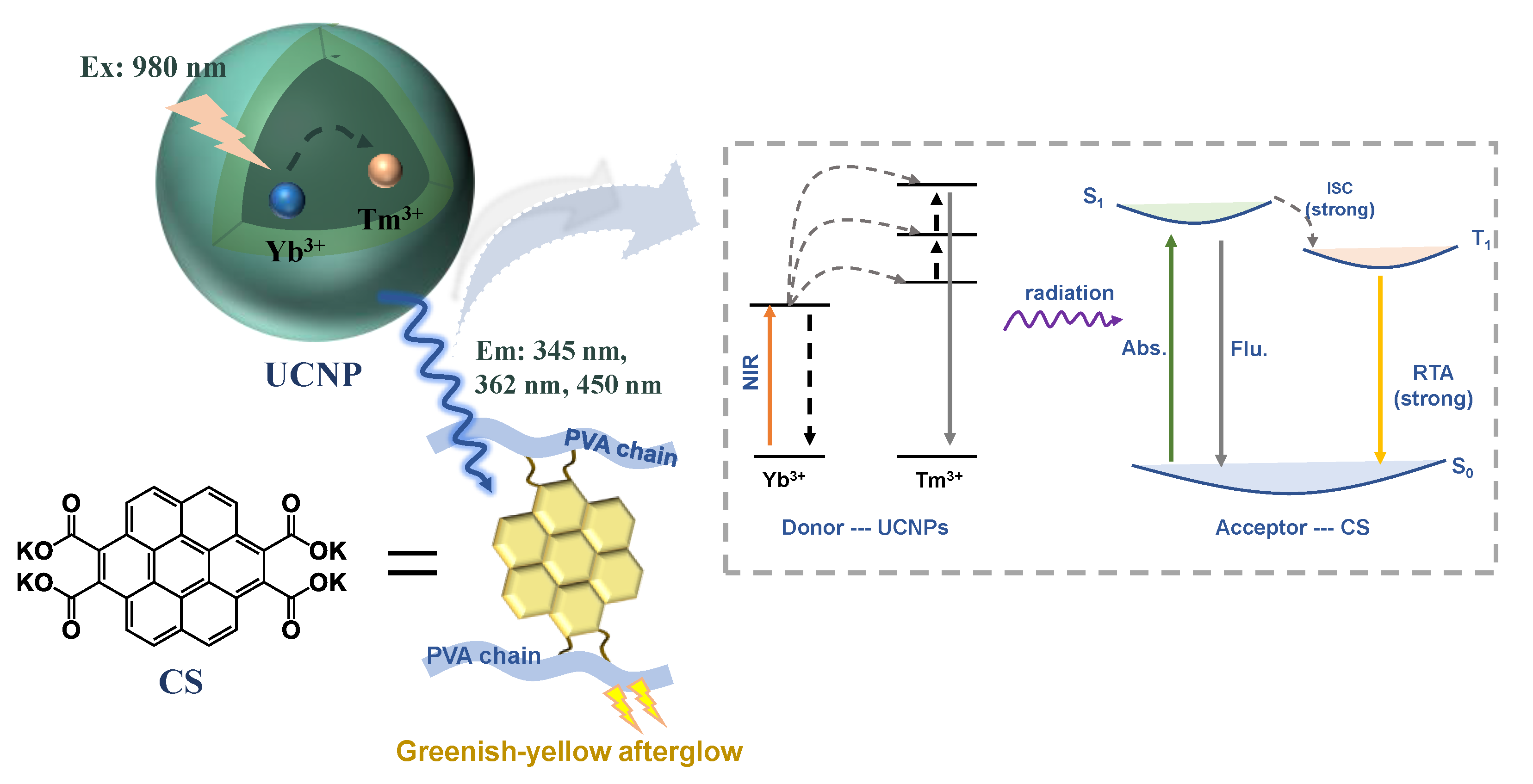 Polymers 14 02414 g001