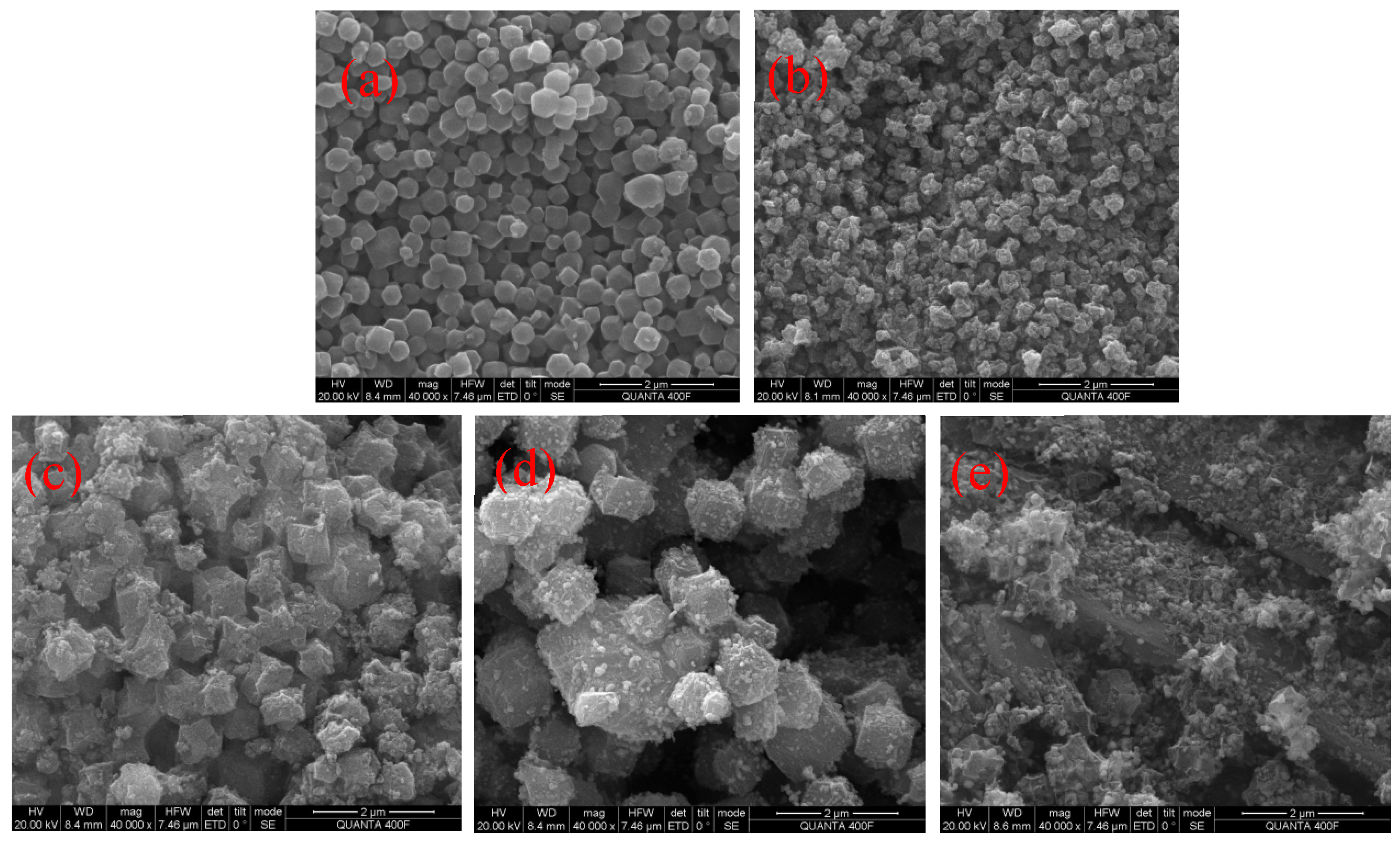 Polymers 14 02419 g002