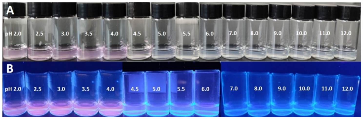 Polymers 14 02420 g006