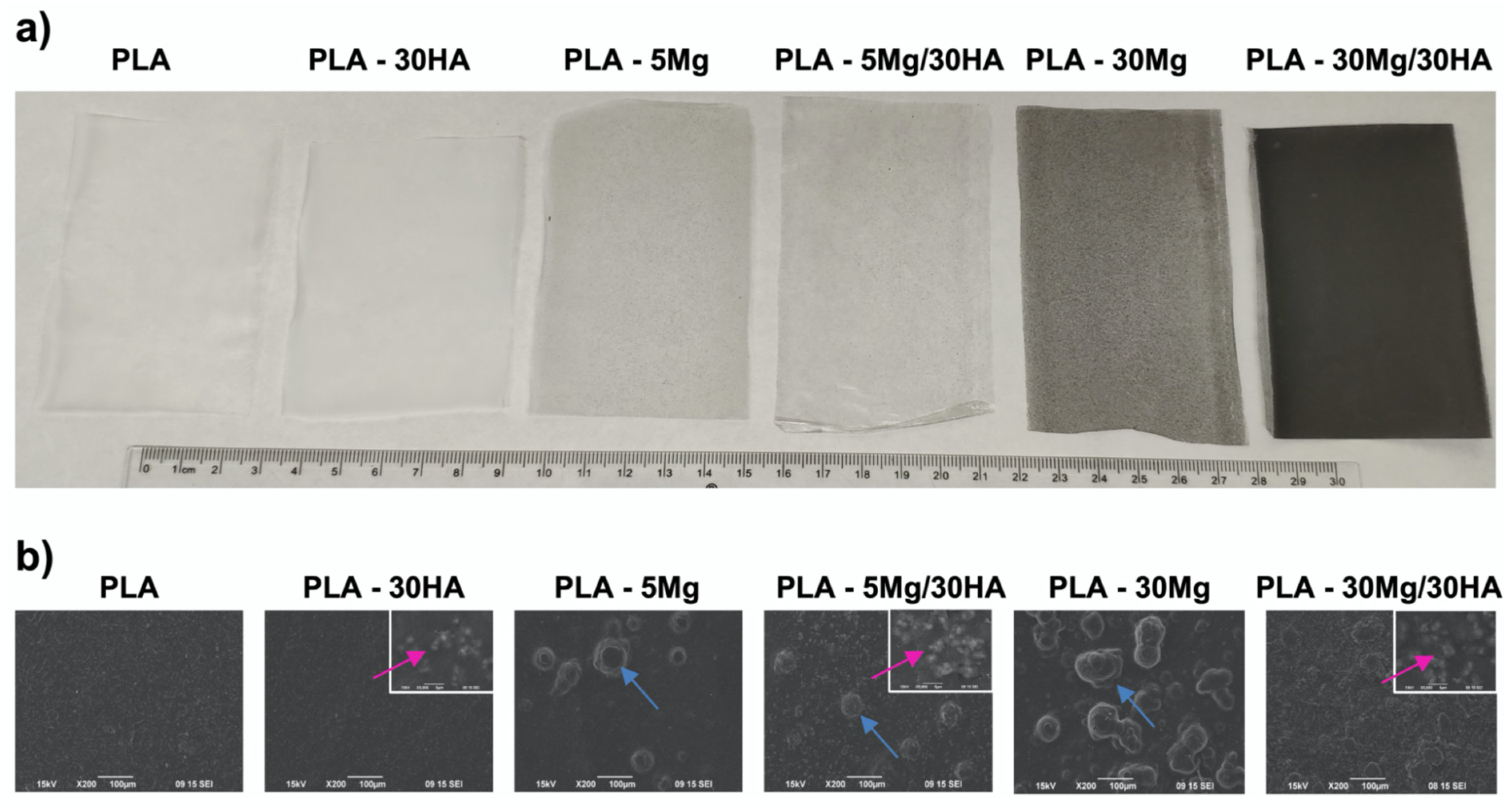 Polymers 14 02422 g001 Polymers 14 02422 g001