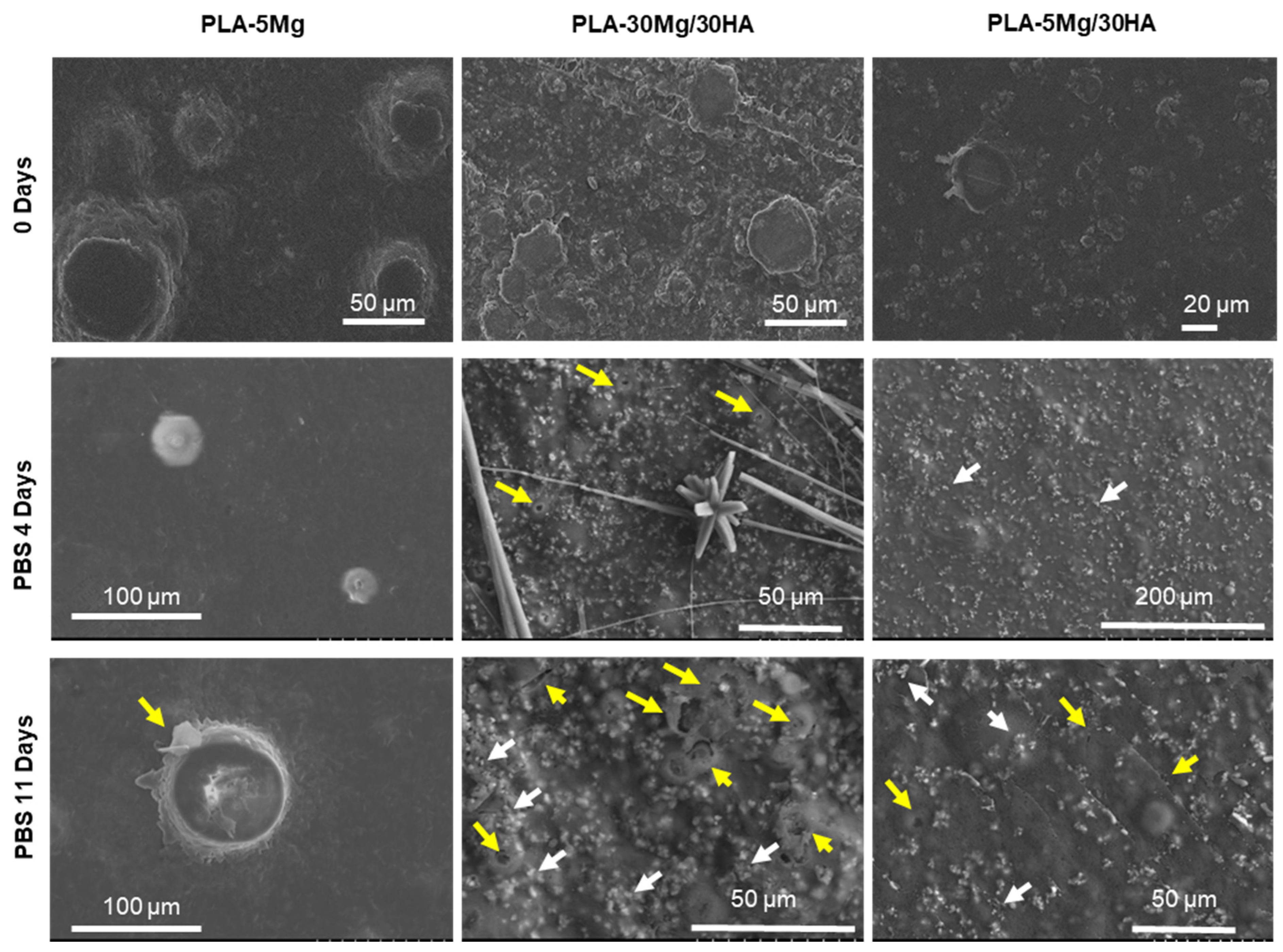 Polymers 14 02422 g004 Polymers 14 02422 g004