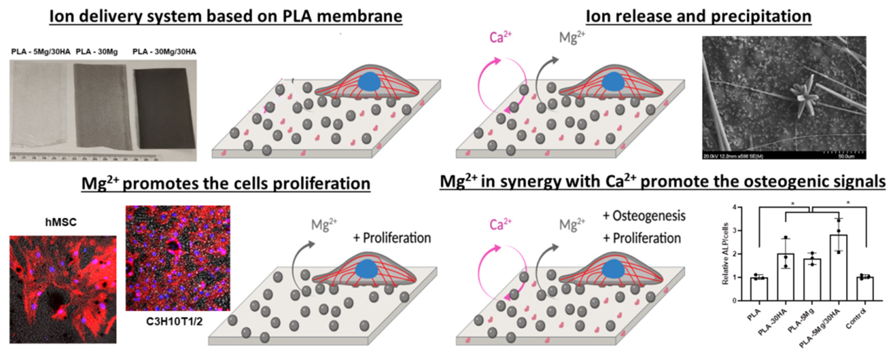 Polymers 14 02422 g009 Polymers 14 02422 g009