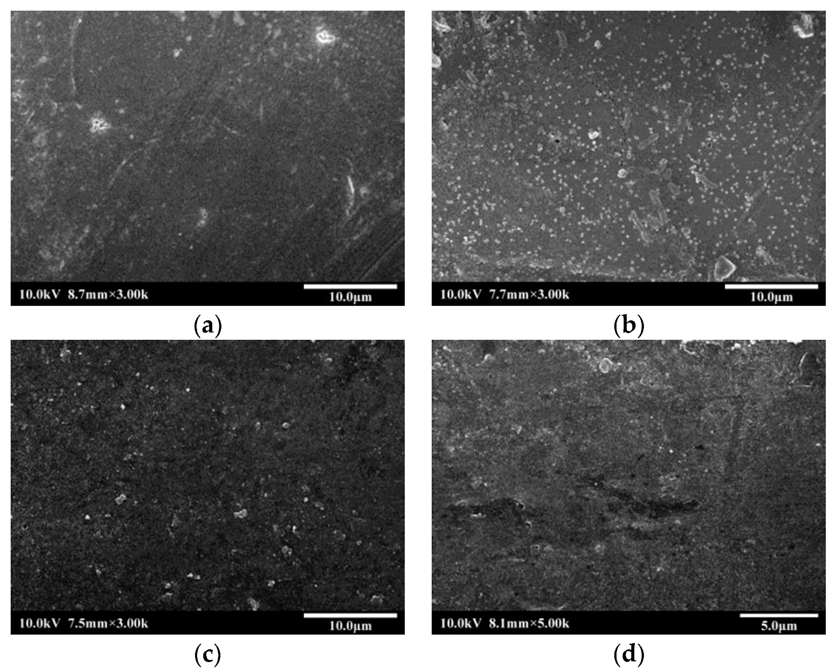 Polymers 14 02424 g001