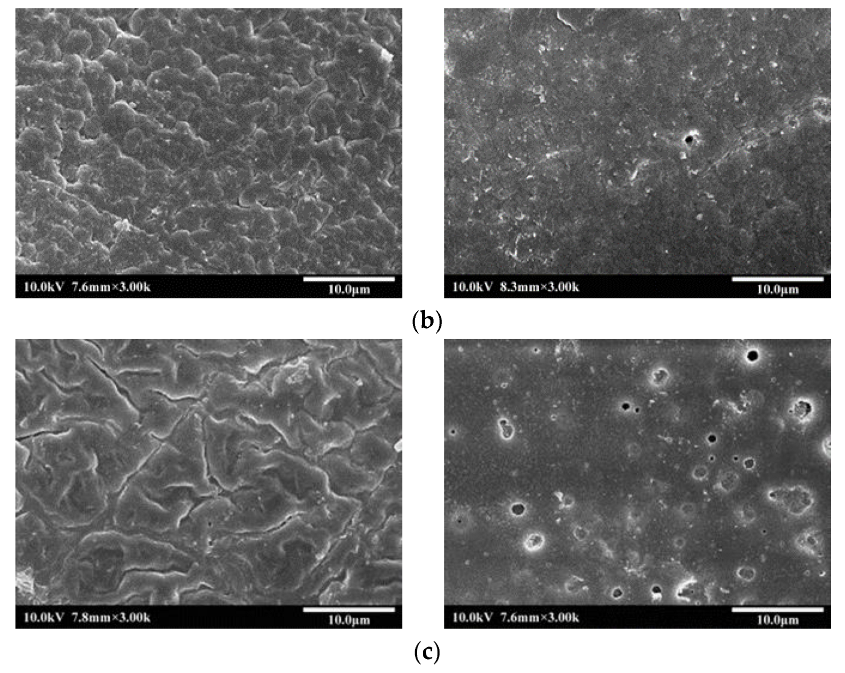 Polymers 14 02424 g002b