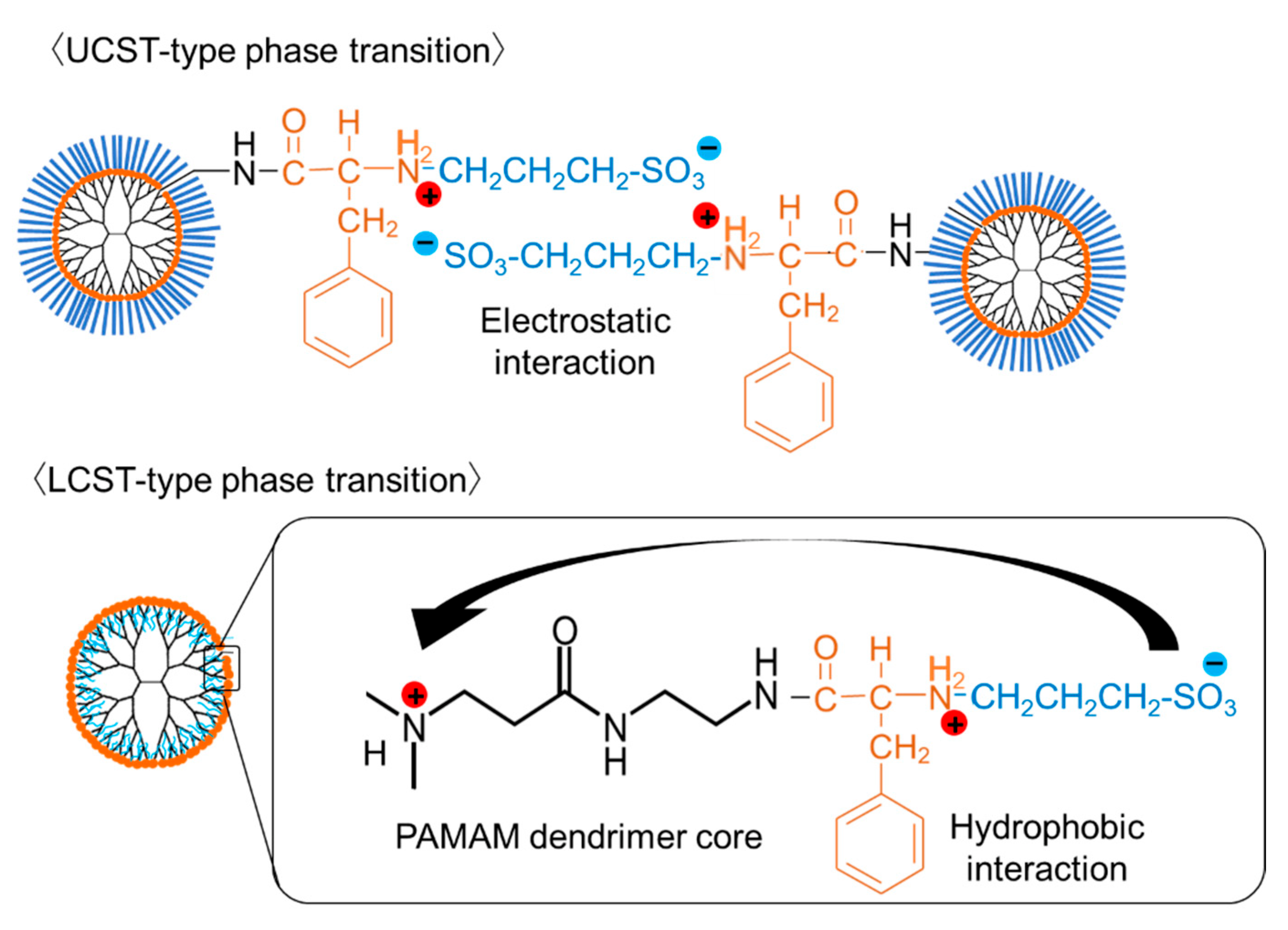 Polymers 14 02426 g005