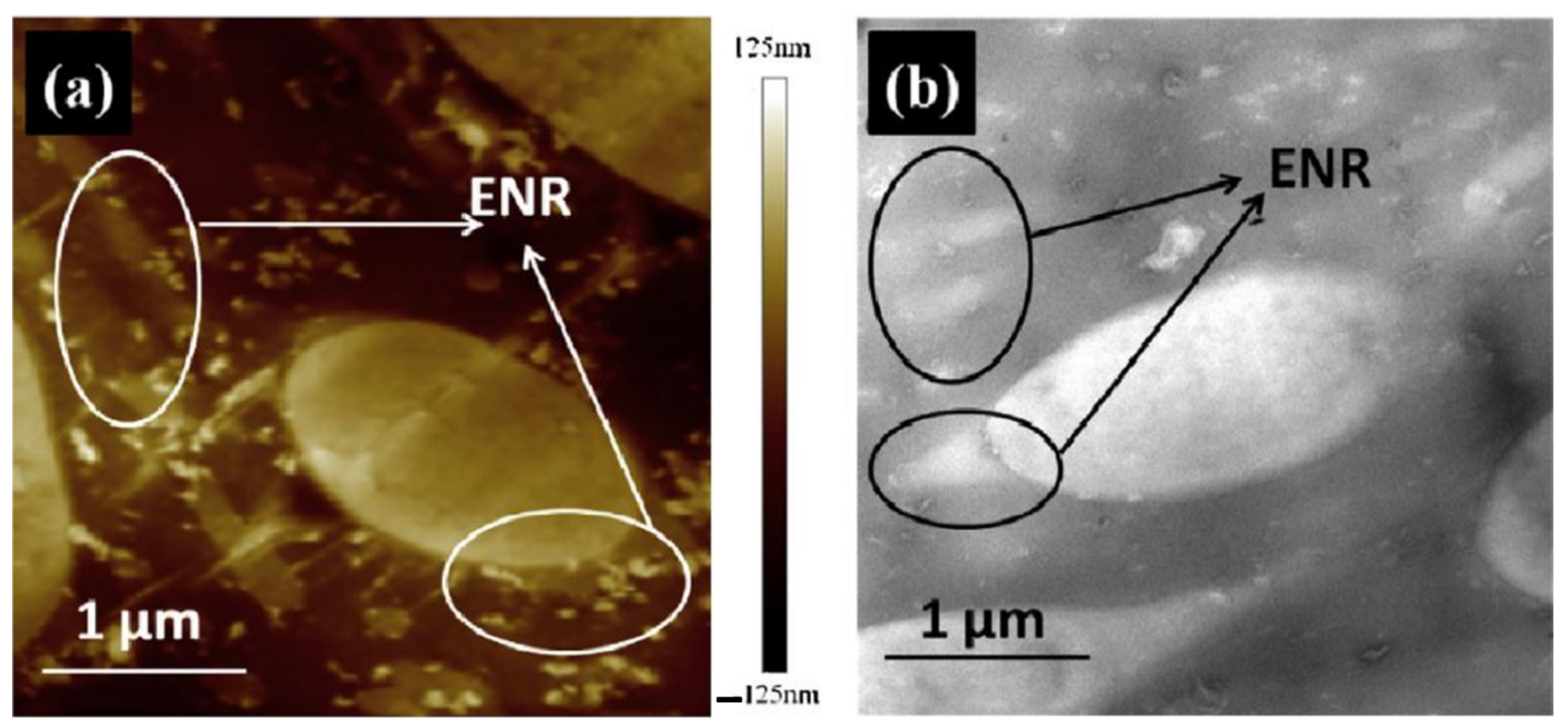 Polymers 14 02427 g011 Polymers 14 02427 g011