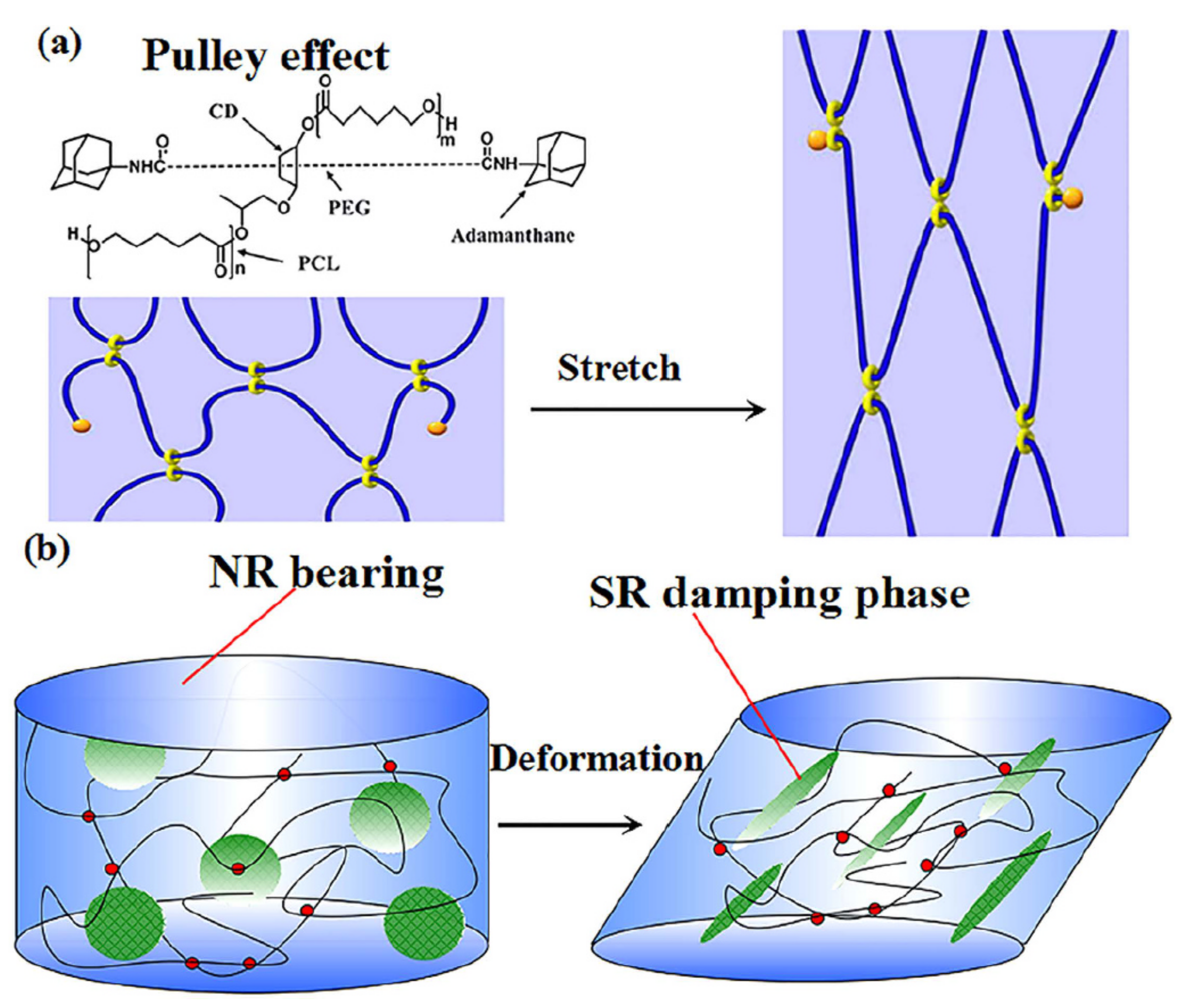 Polymers 14 02427 g013 Polymers 14 02427 g013
