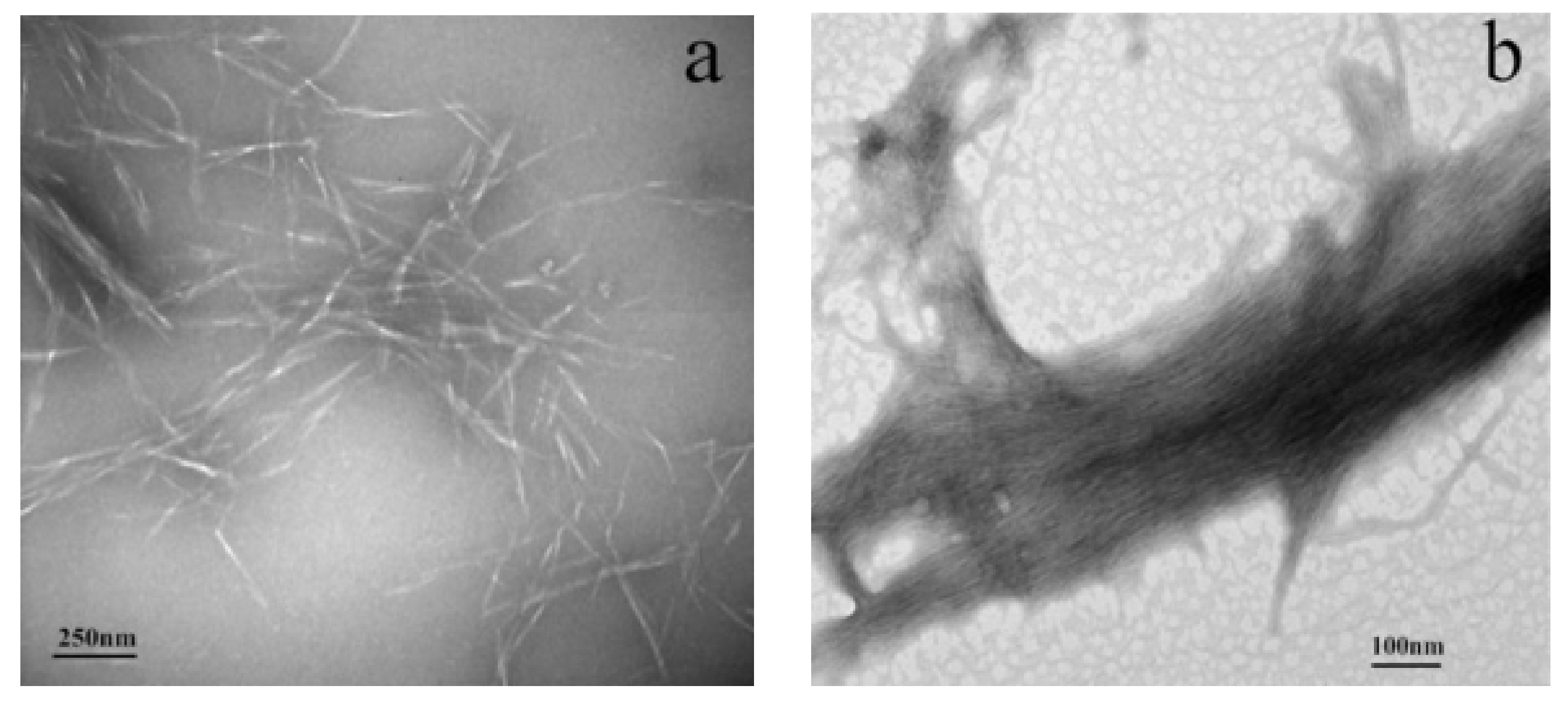 Polymers 14 02428 g004