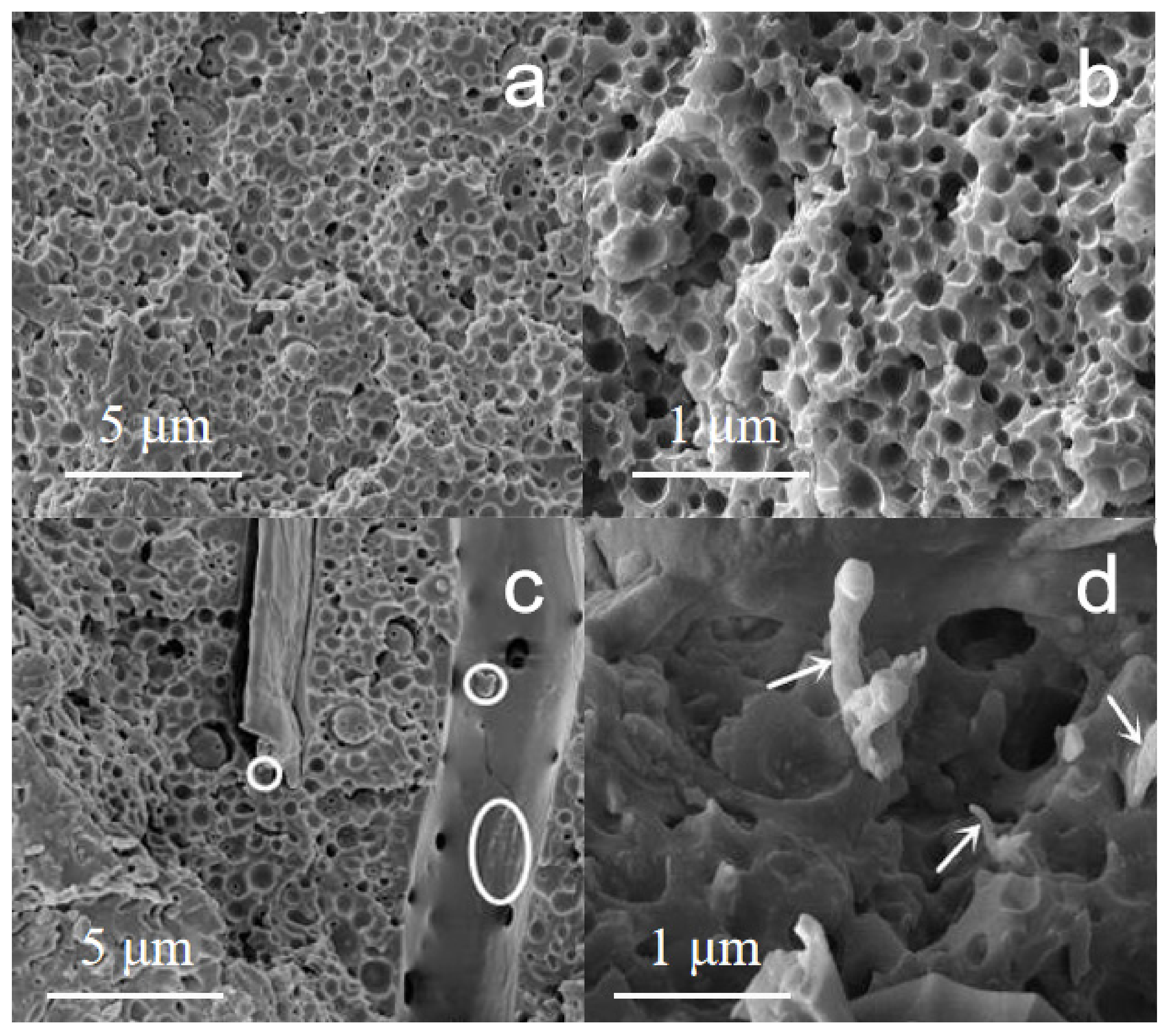 Polymers 14 02428 g010