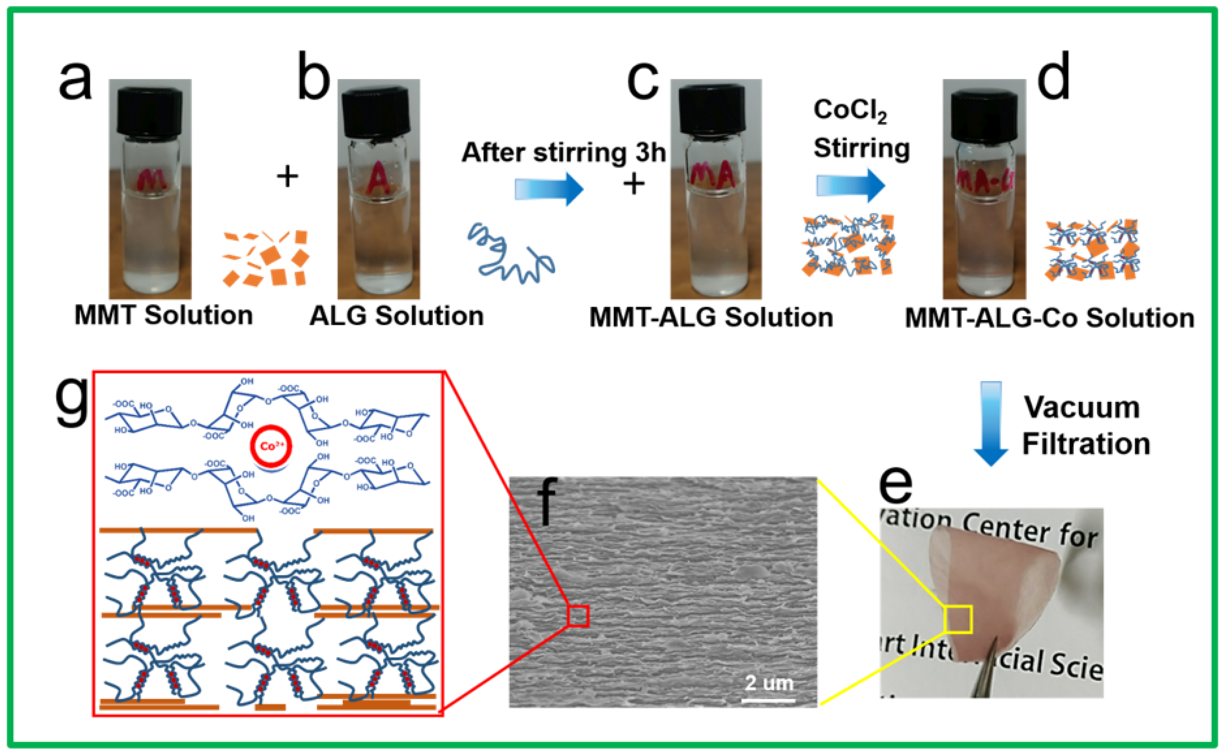 Polymers 14 02433 g001