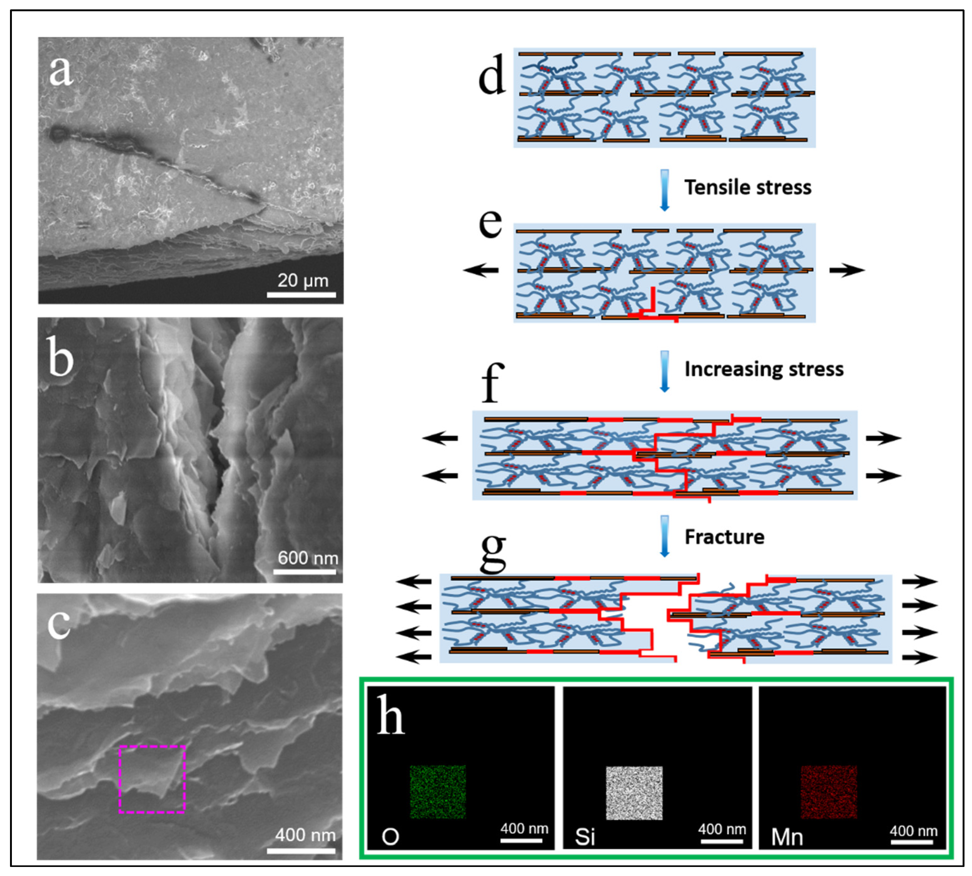 Polymers 14 02433 g005
