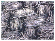 Polymers 14 02445 i005