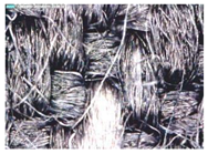 Polymers 14 02445 i008