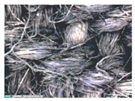 Polymers 14 02445 i011